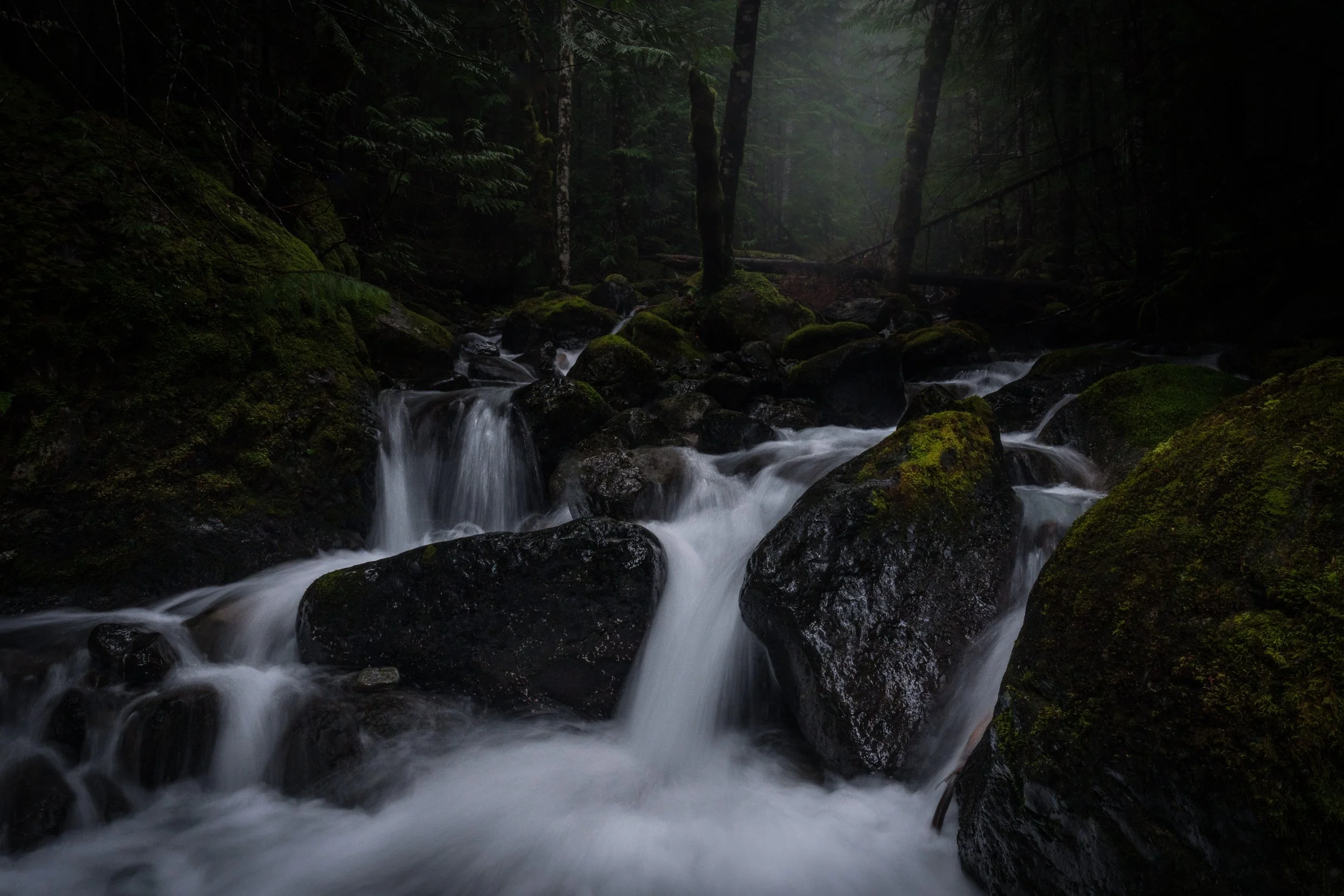 2024 01 05 Big Creek Loop Trail Confluence_DSC1807-Edit.jpg