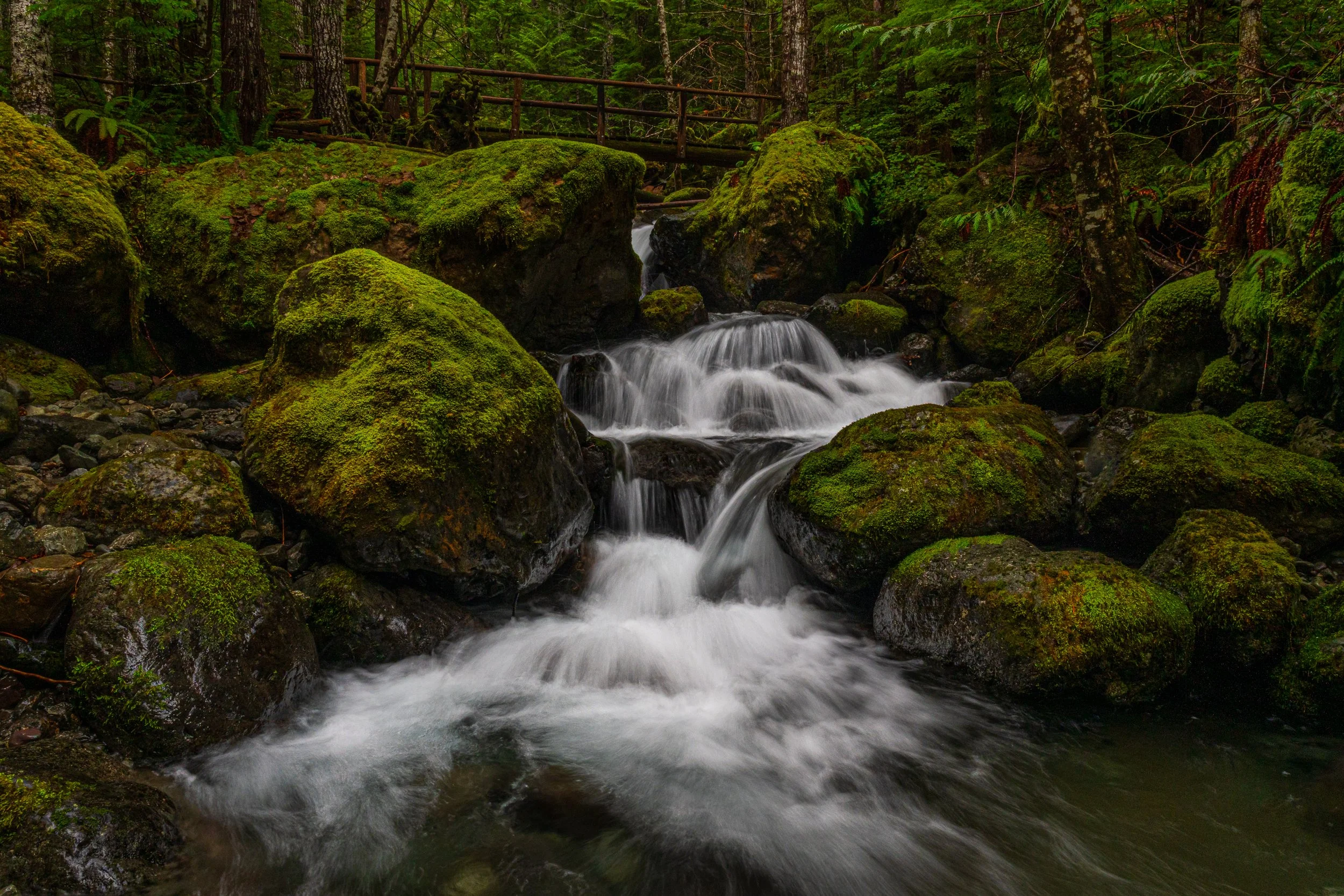 2024 01 05 Big Creek Loop Trail Confluence_DSC1683-Edit.jpg