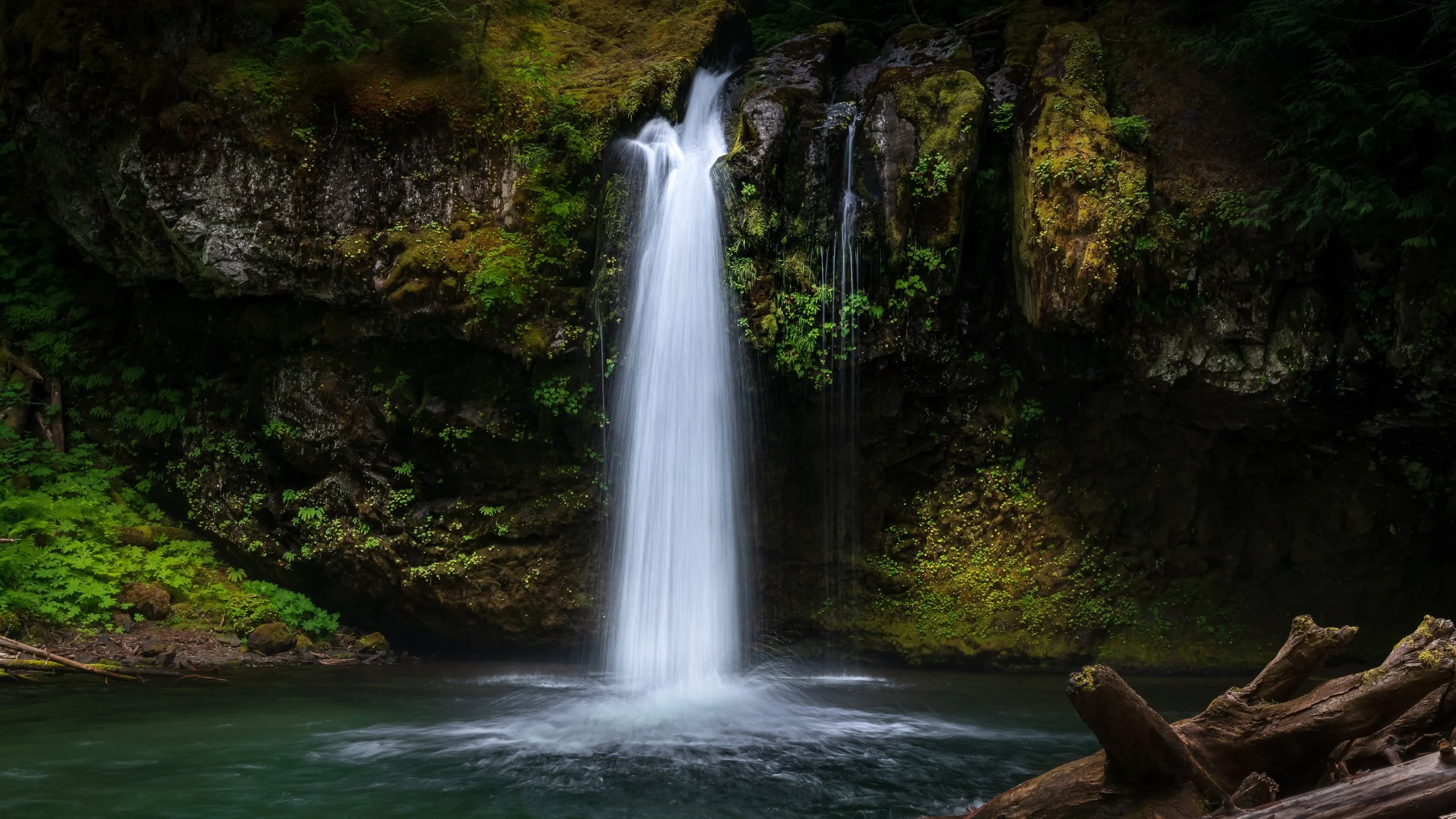 2019 07 18 Iron Creek Falls_DSC6592.jpg