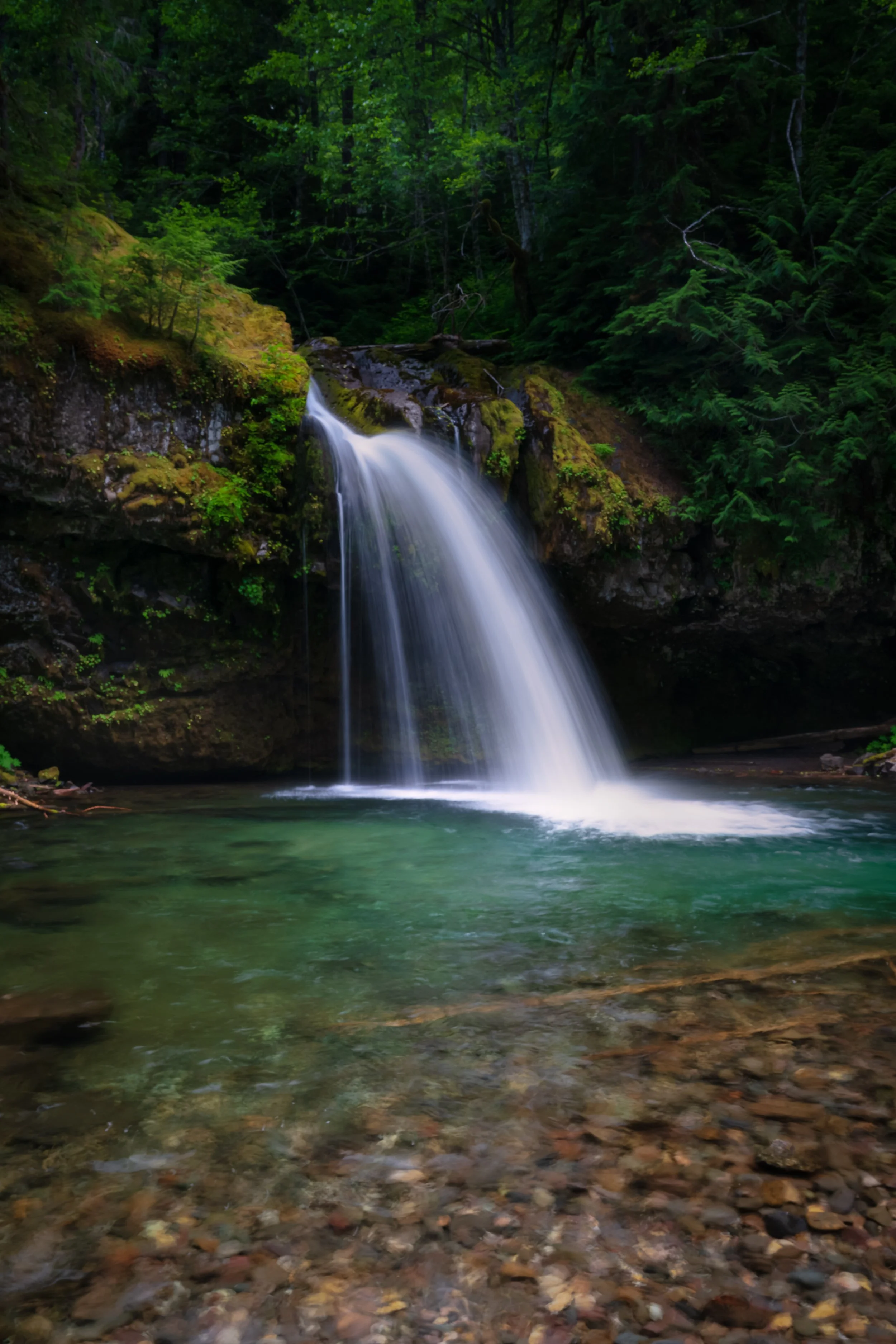 2019 07 18 Iron Creek Falls_DSC6552_LuminarFlex-edit-Edit.jpg