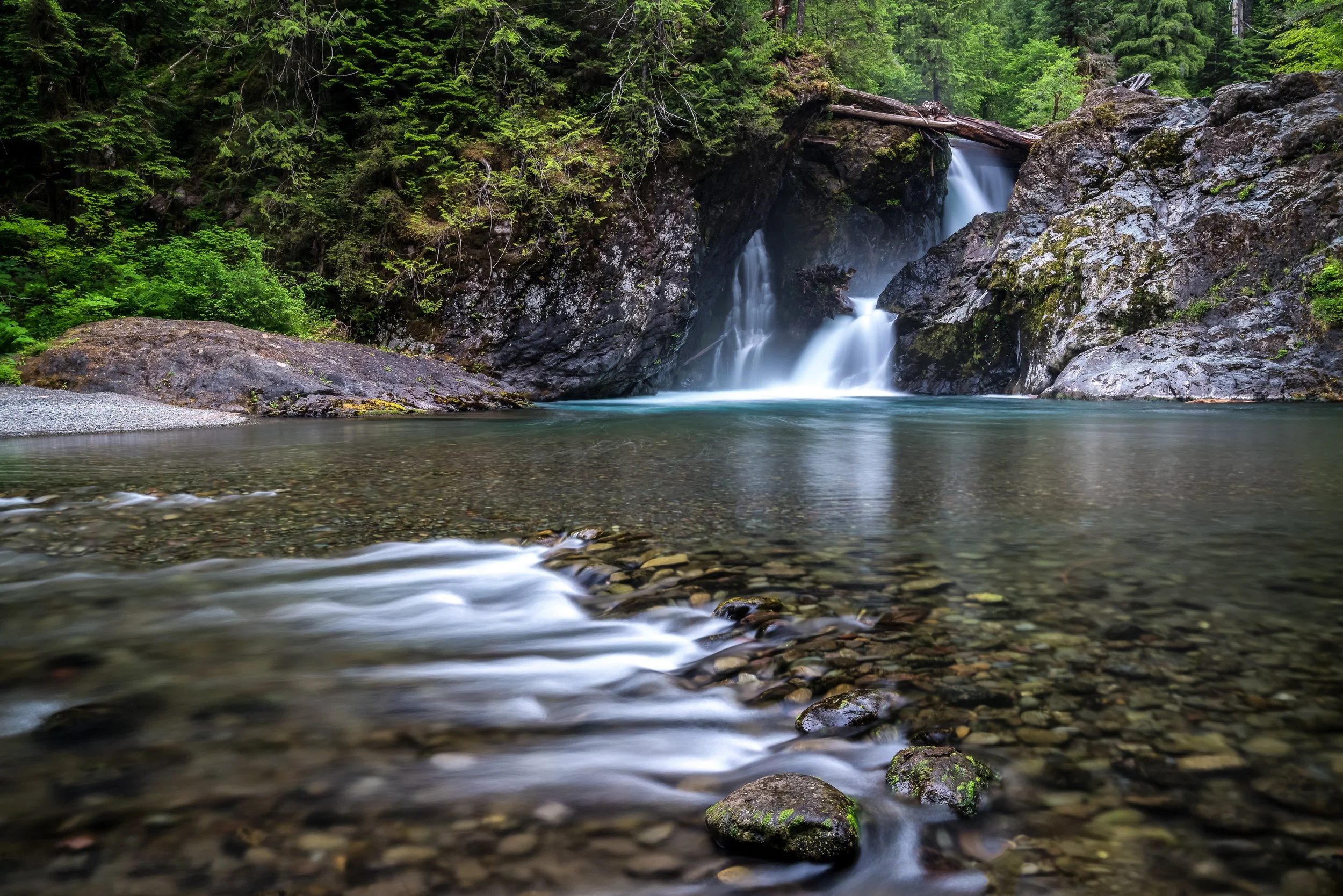 2017 06 28 Wynoochee Falls_DSC6672-Edit.jpg