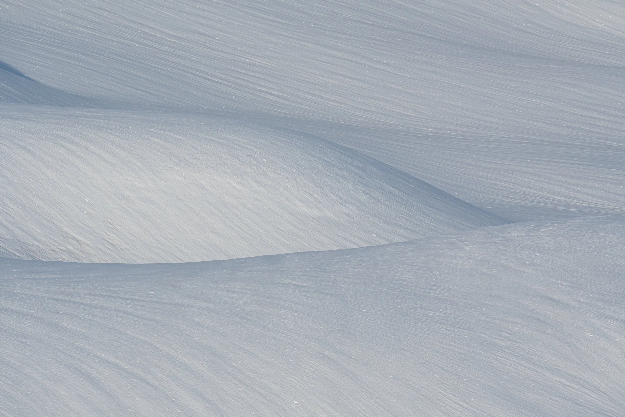 2021 04 21Mazuma Ridge Snowshoe_JTC2098-Edit.jpg