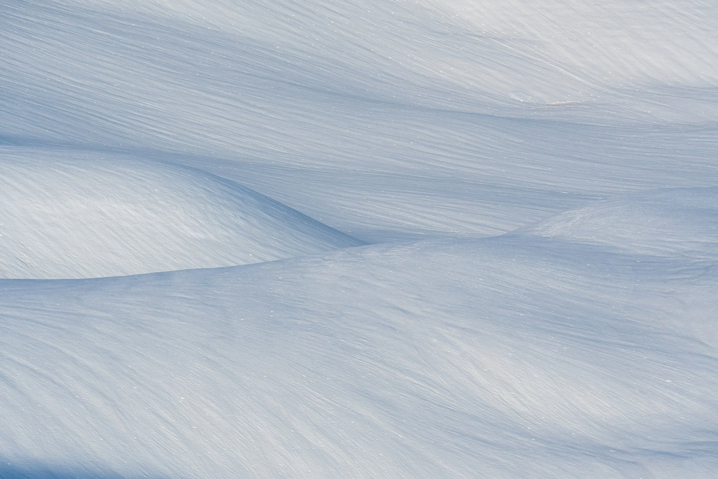 2021 04 21Mazuma Ridge Snowshoe_JTC2095-Edit.jpg