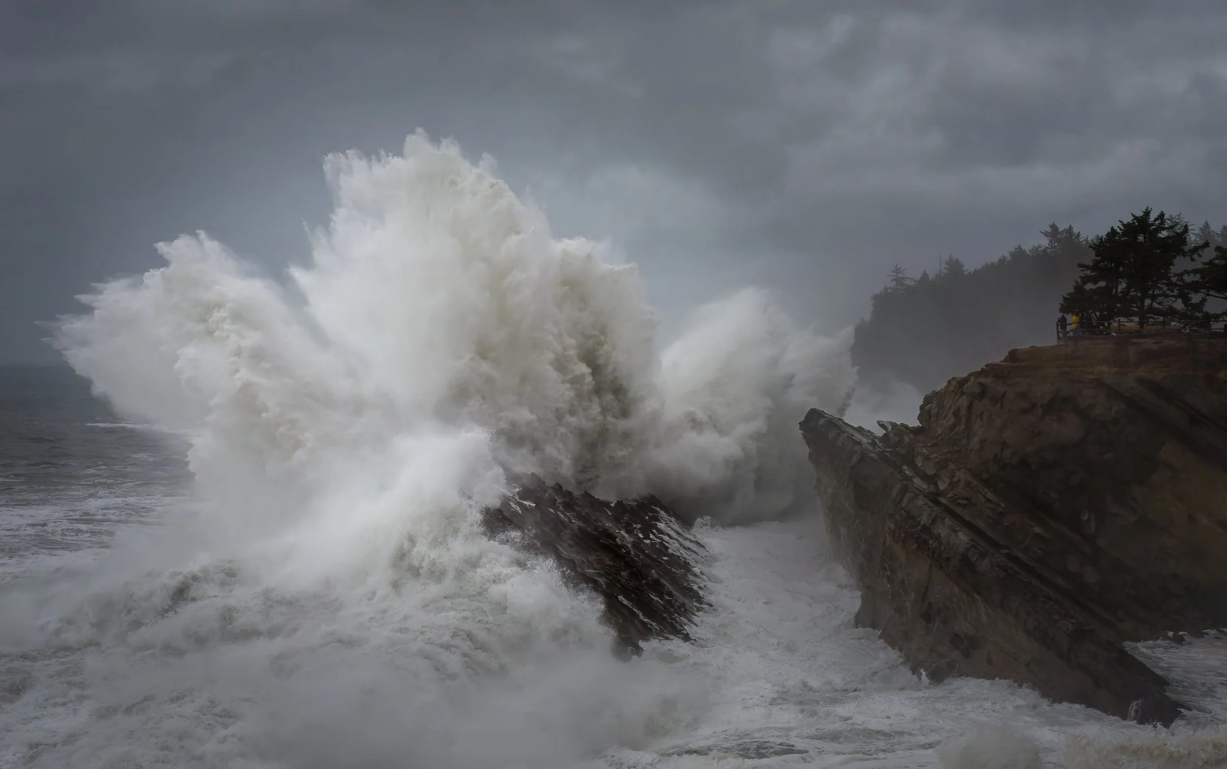 2022 12 27 Shore Acres Oregon Big Waves_DSC1787.jpg