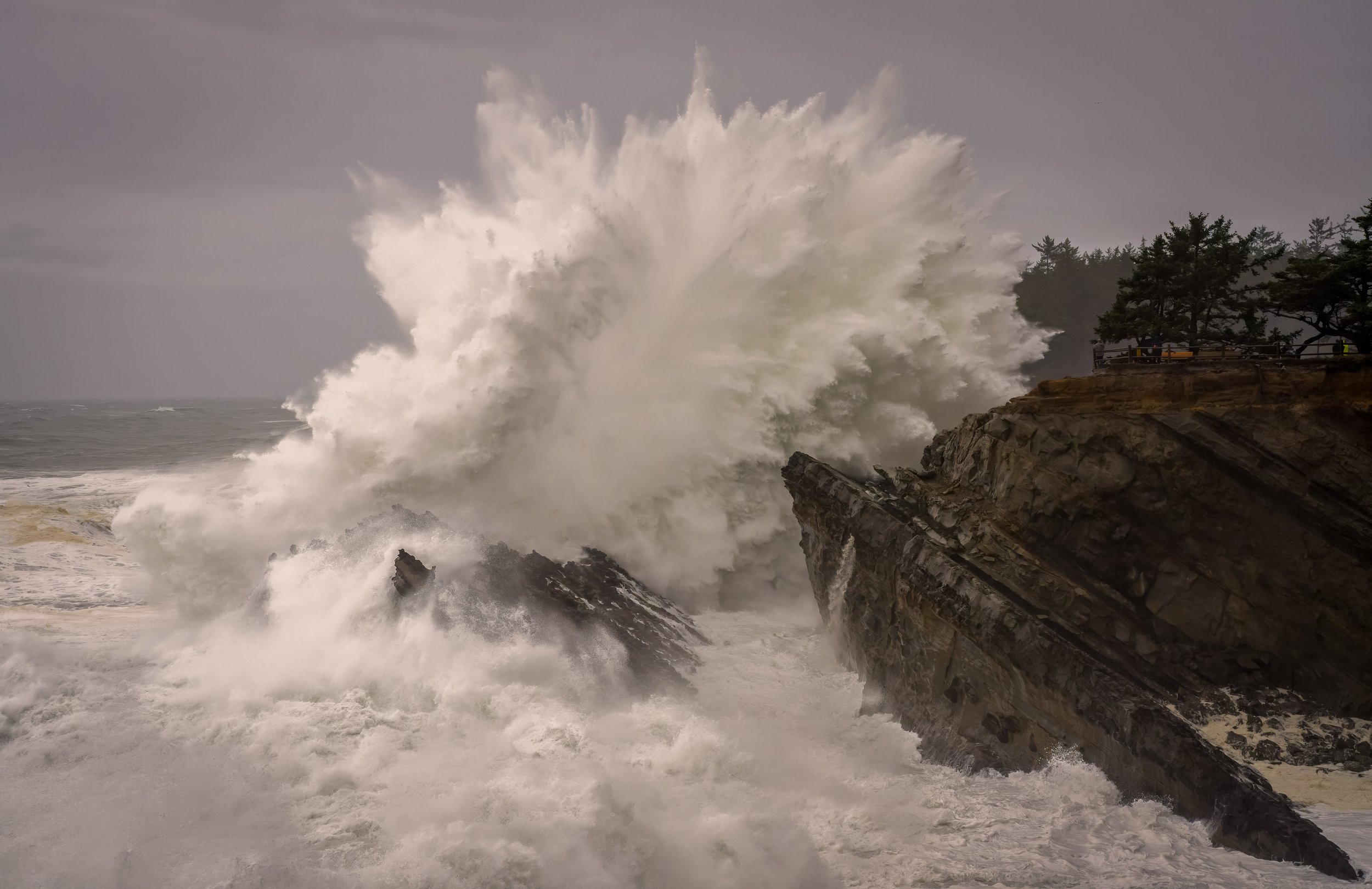 2022 12 27 Shore Acres Oregon Big Waves_DSC3194-Edit-Edit.jpg
