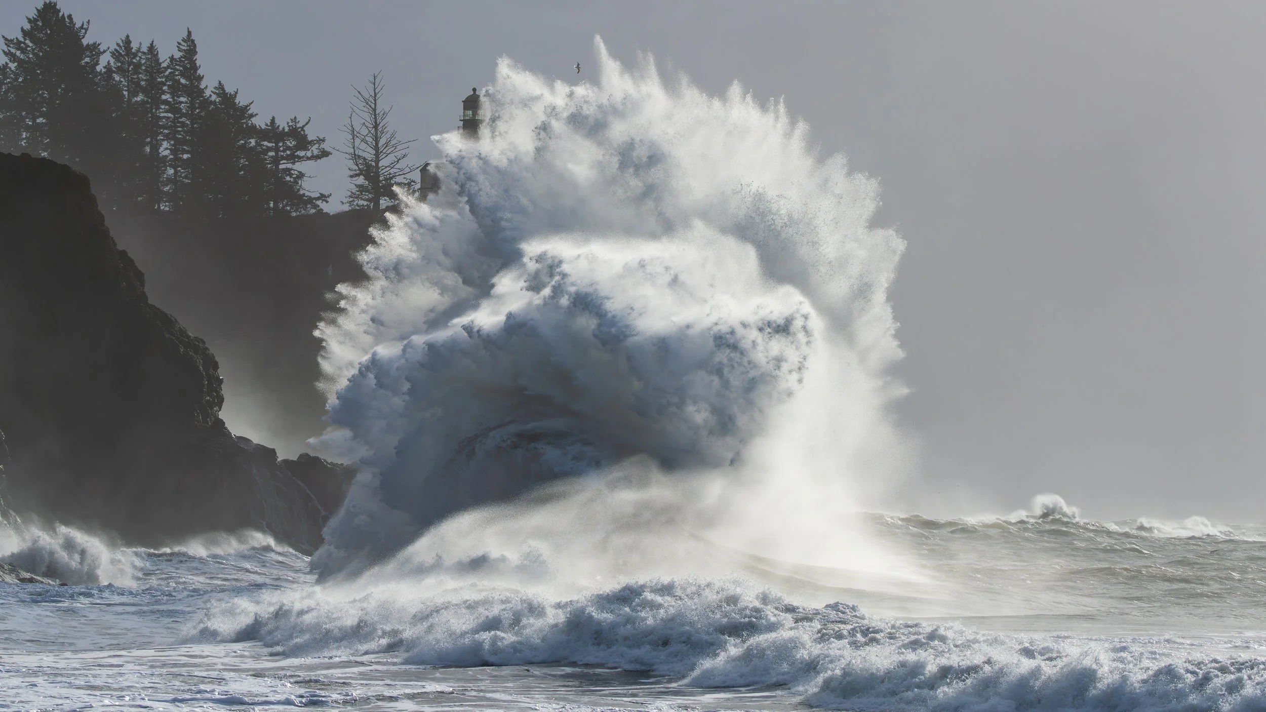 2024 01 09 Cape Disappointment_DSC0848-Enhanced-NR-2.jpg