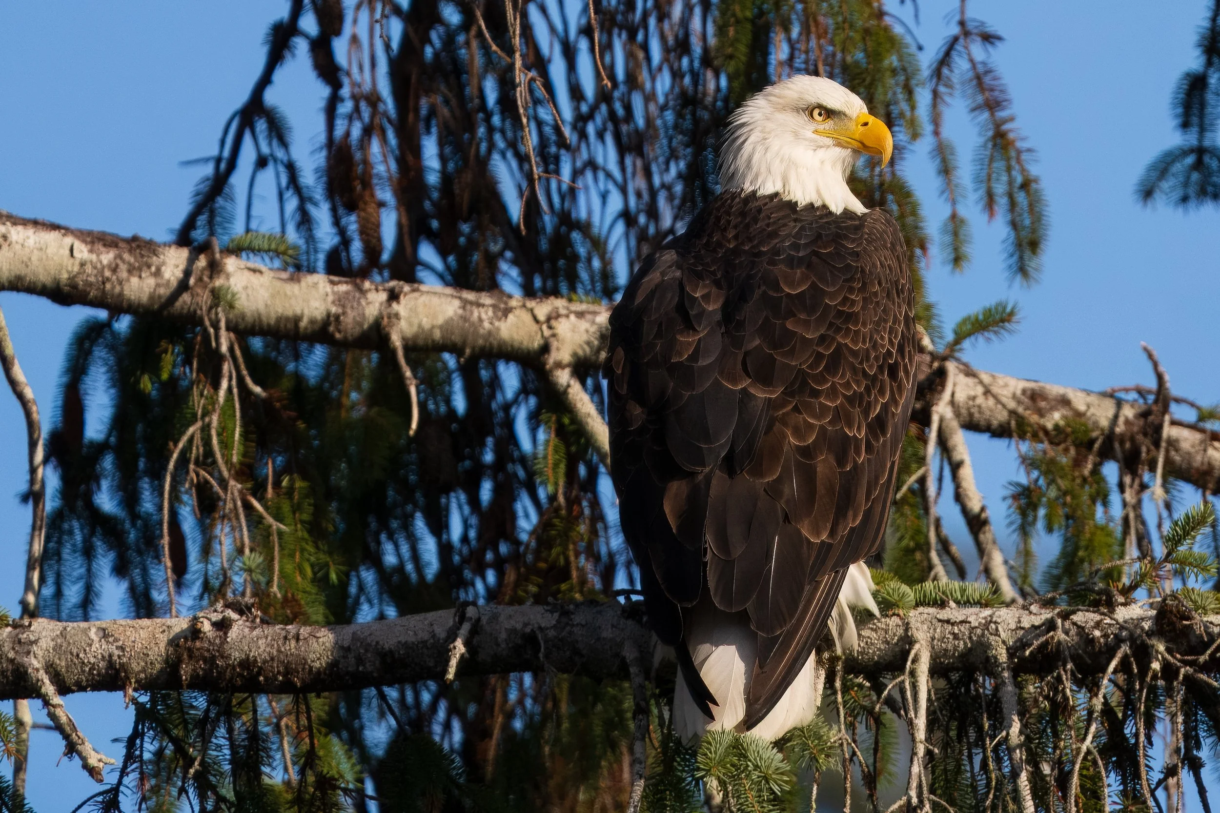 2023 12 12 Donkey Creek Road_DSC0165.jpg