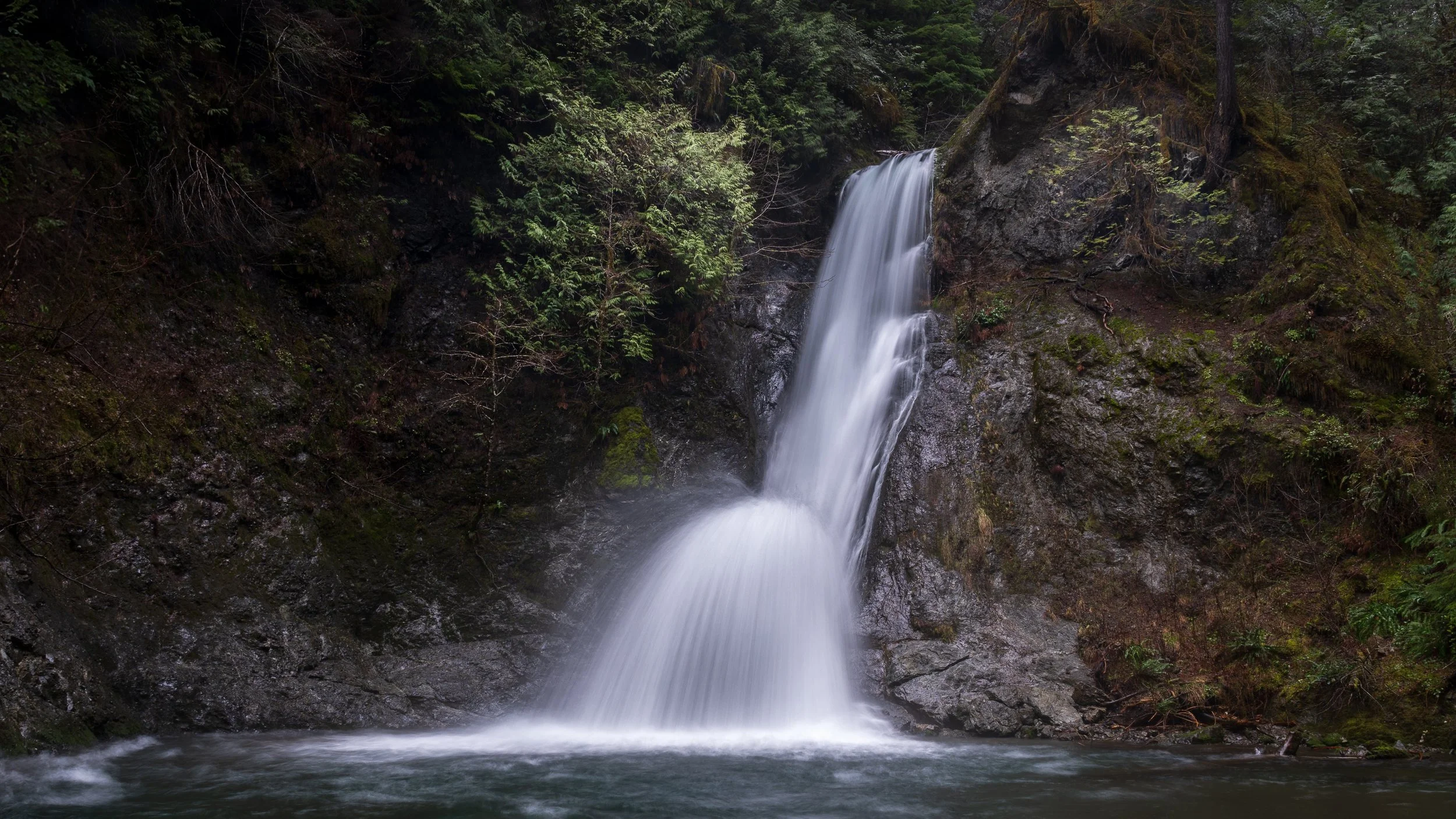 2024 02 01 Spider Creek Falls_DSC3656-Edit.jpg