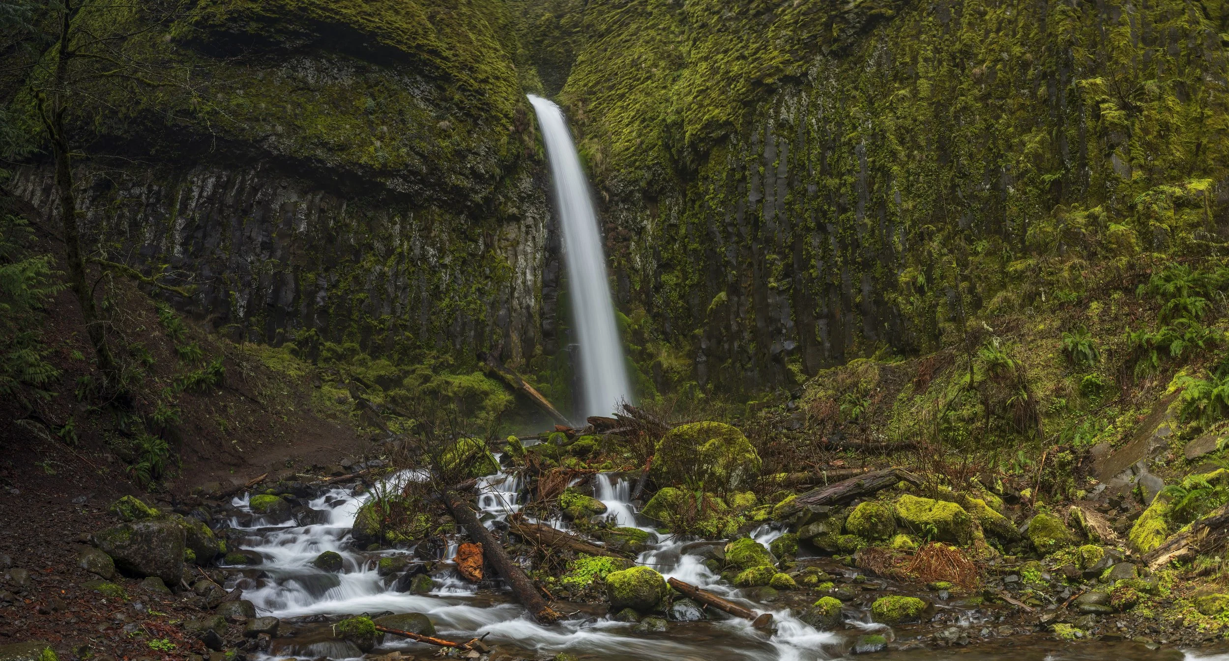 2025 03 20 Dry Creek Falls OR_A677446-Pano-Edit.jpg