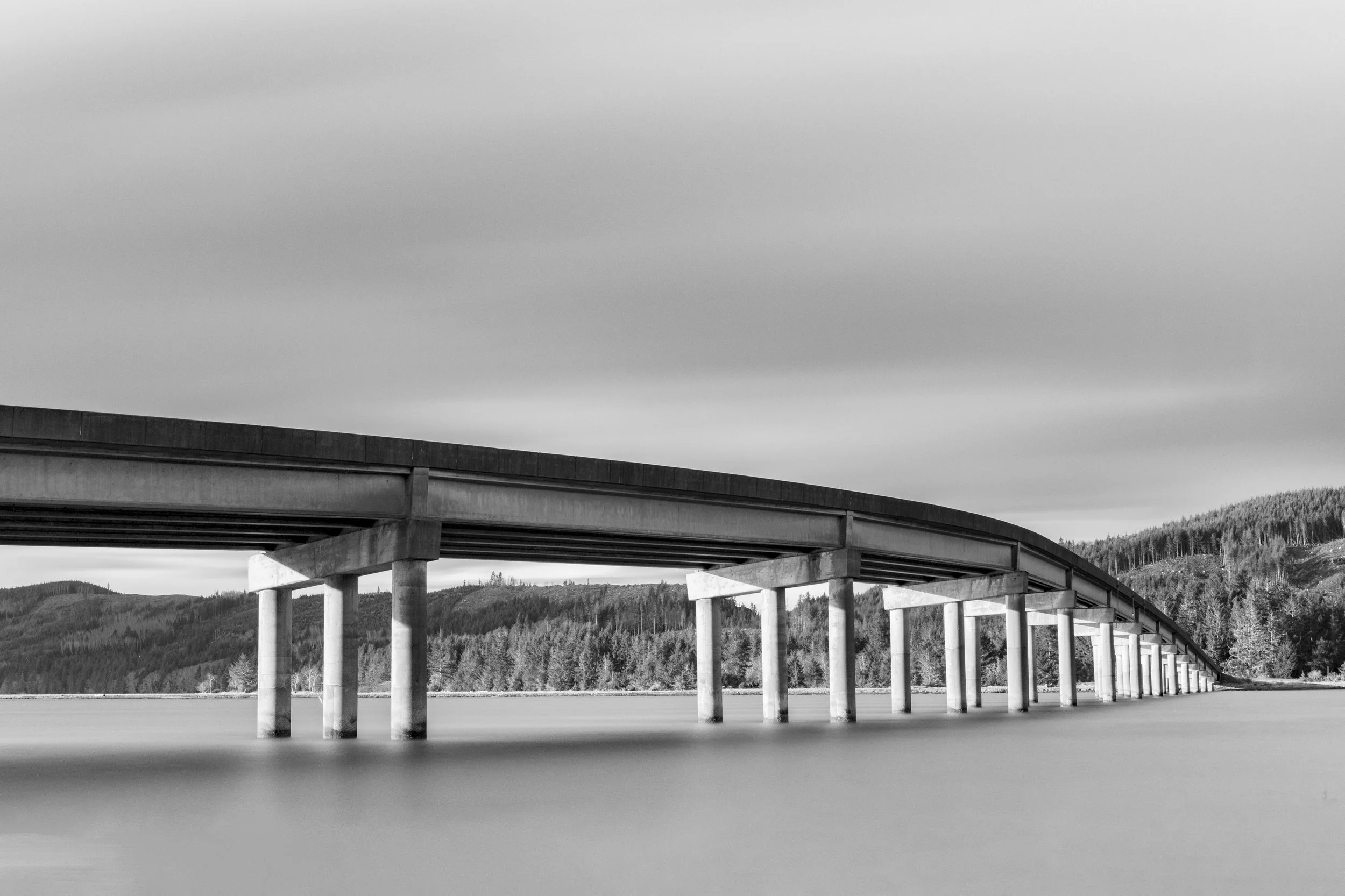 2025 03 17 Naselle River Area_A677351-Edit V1.jpg
