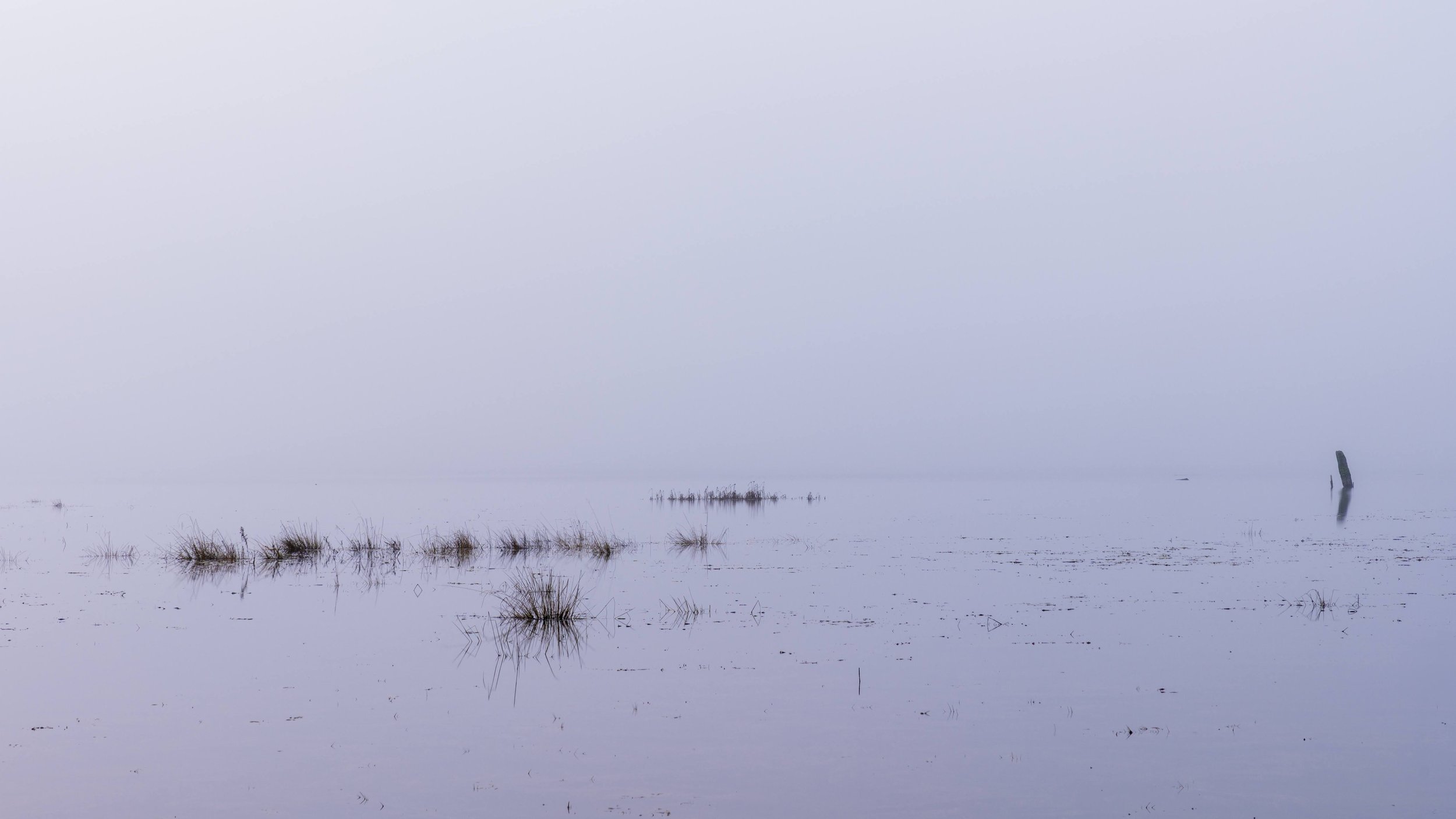 2025 01 17 Duckabush River At Hood Canal II_A674285.jpg
