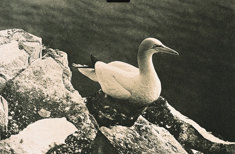 Screen Shot 2013-01-06 at 1.50.22 PM.png