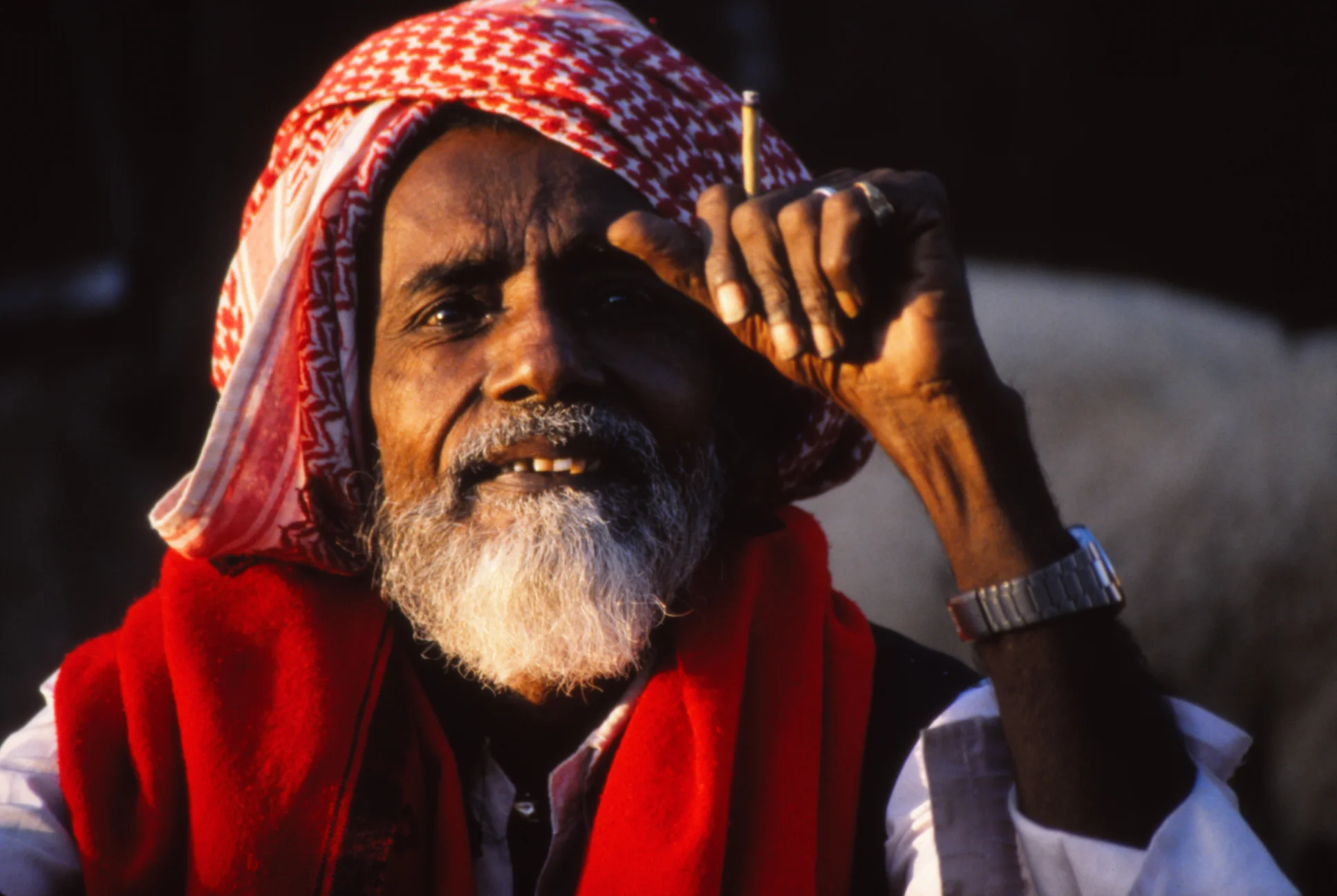india86.jpg