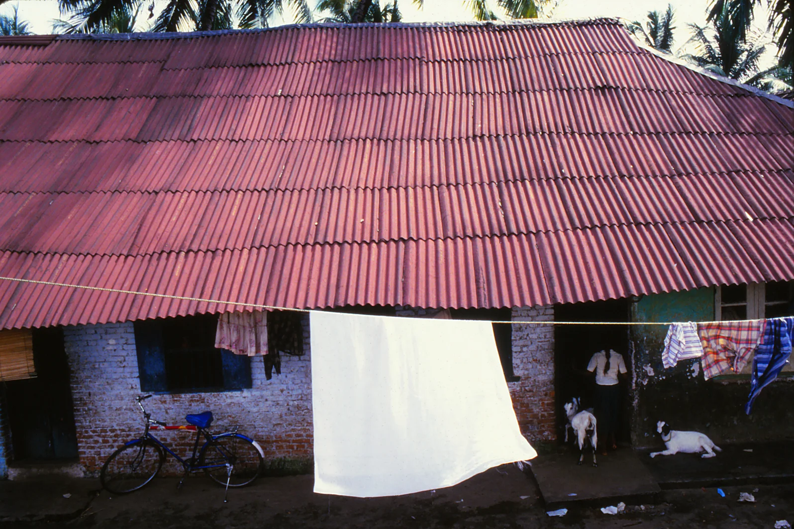 india104.jpg