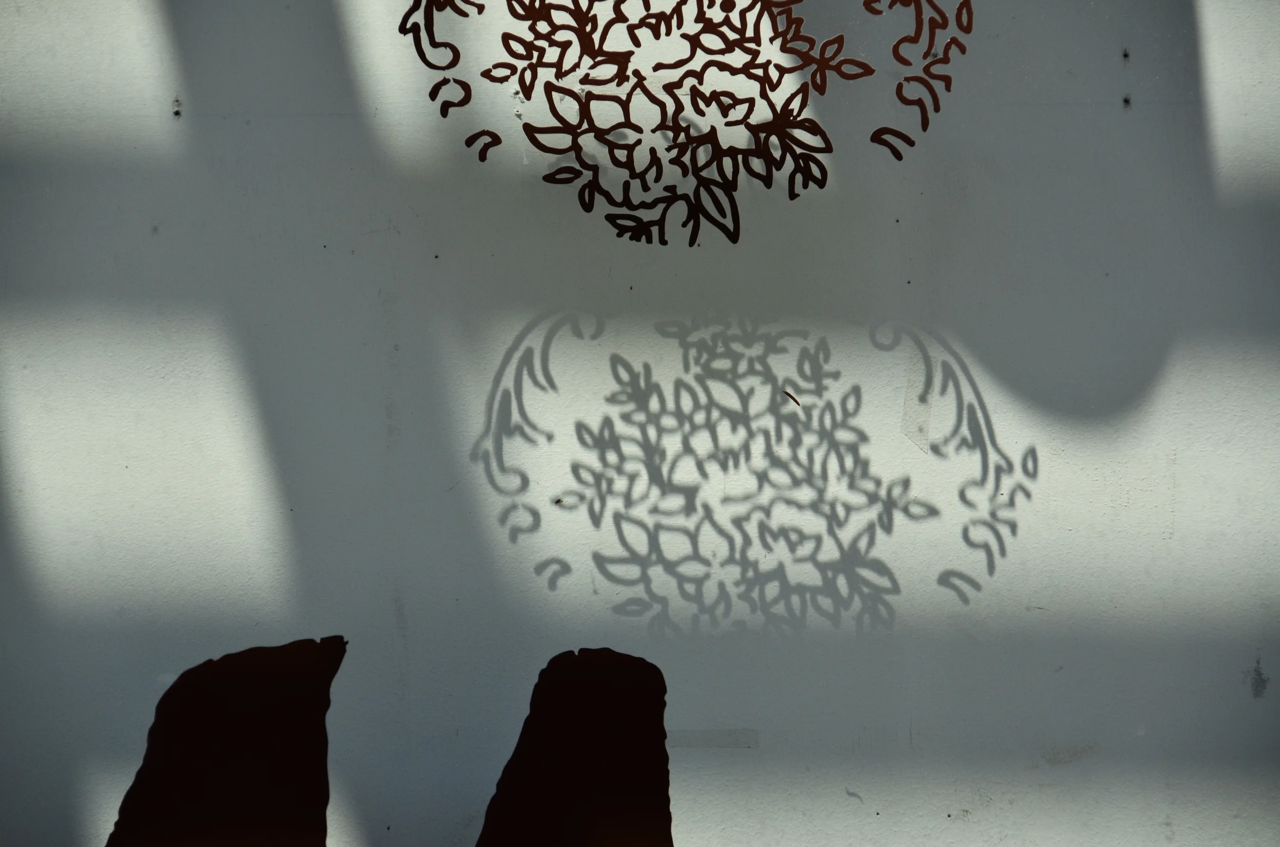 _NYC6679shadowflower.jpg