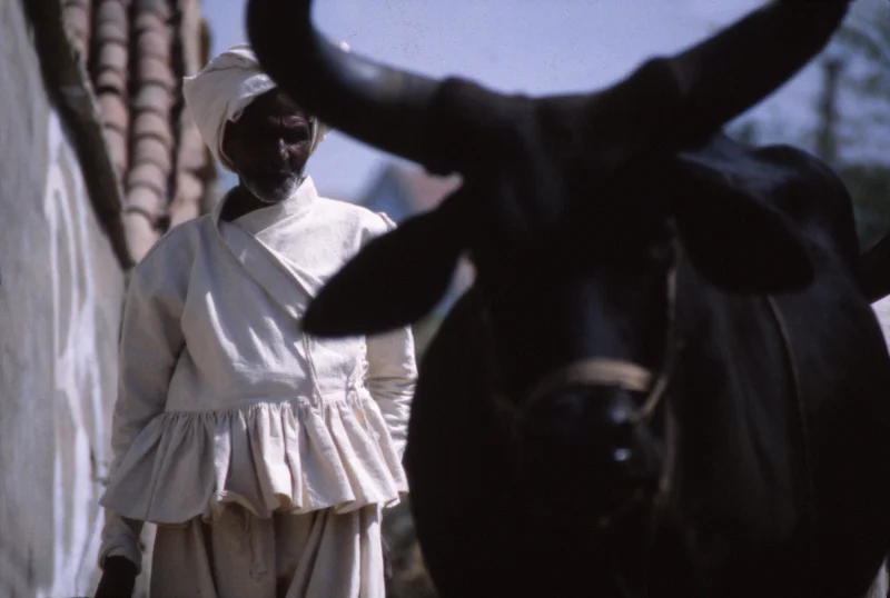 india92.jpg