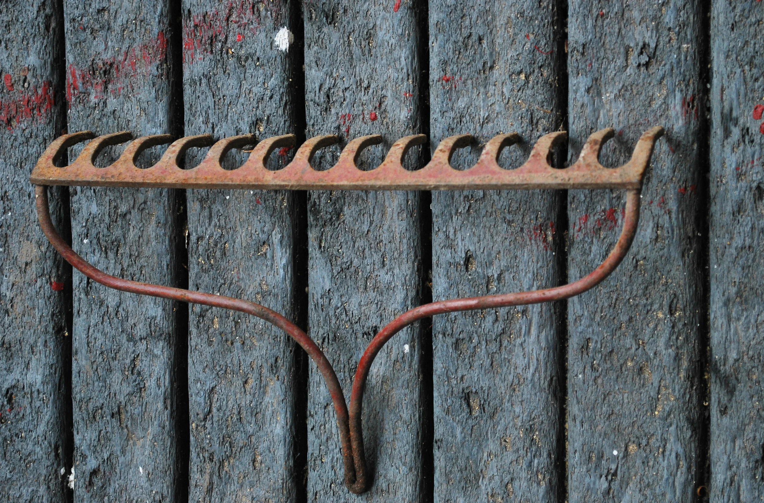 DSC_0147_rake.jpg