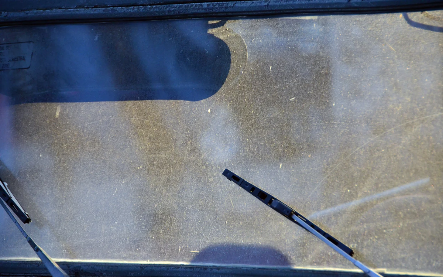Windshield Blue
