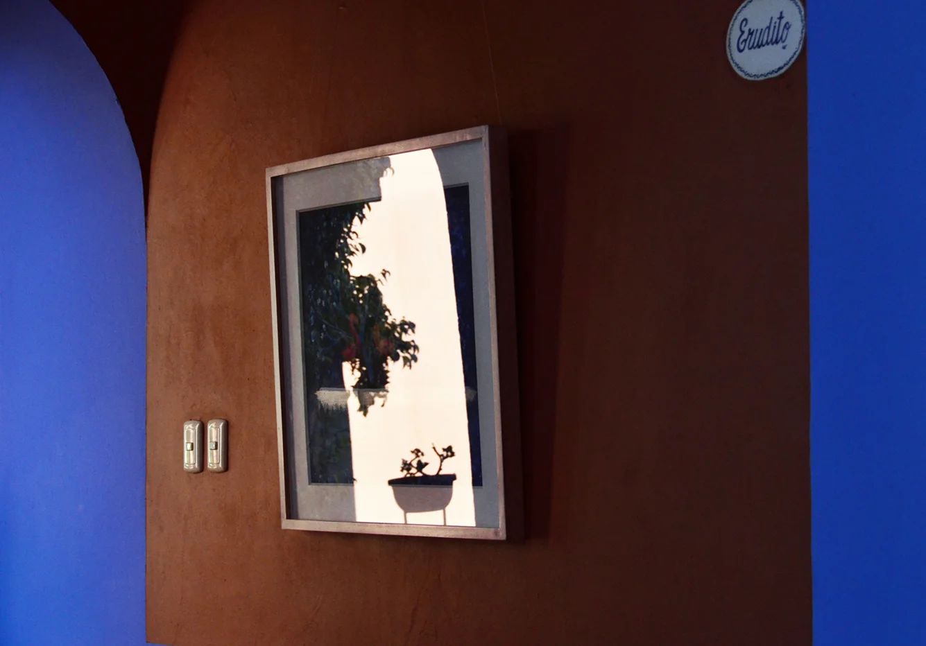 Framed Reflection