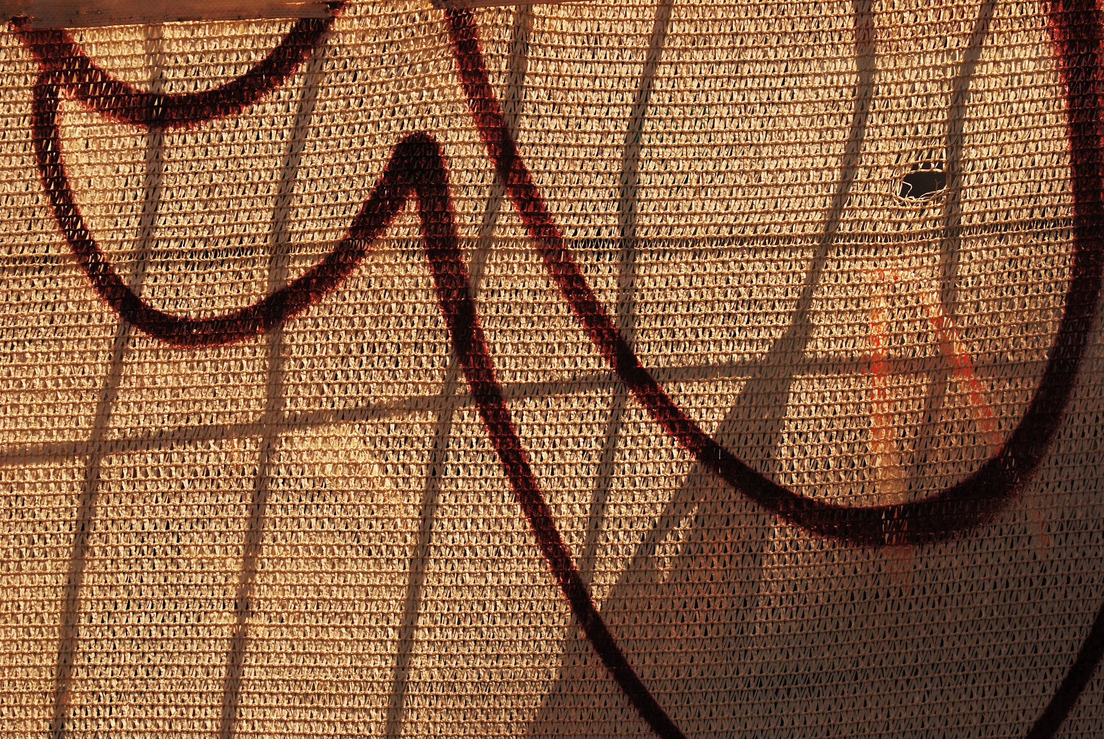 TexturedLines_DSC_0018.jpg