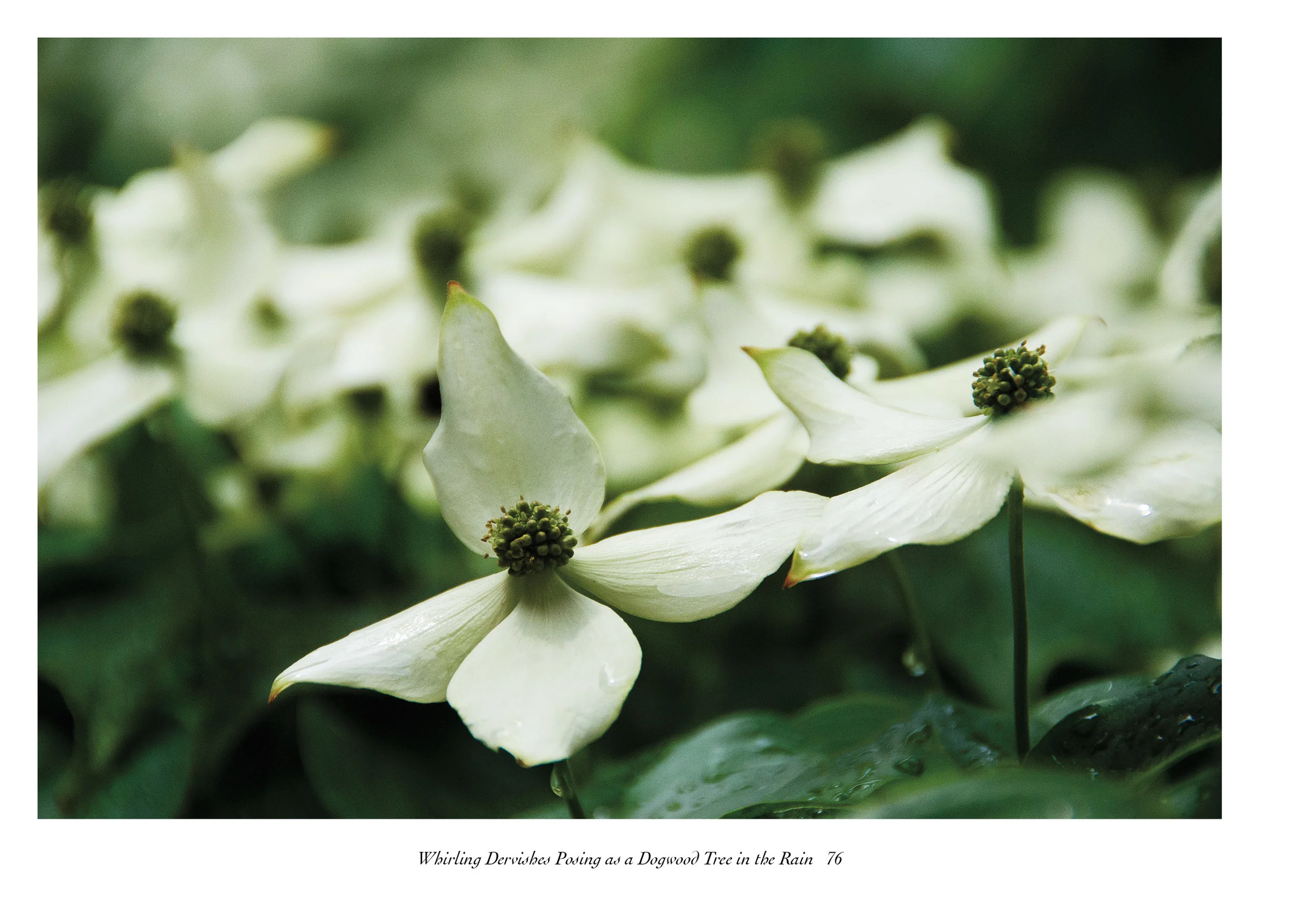 IntoSpring_July11_completewithcoversreduced80.jpg