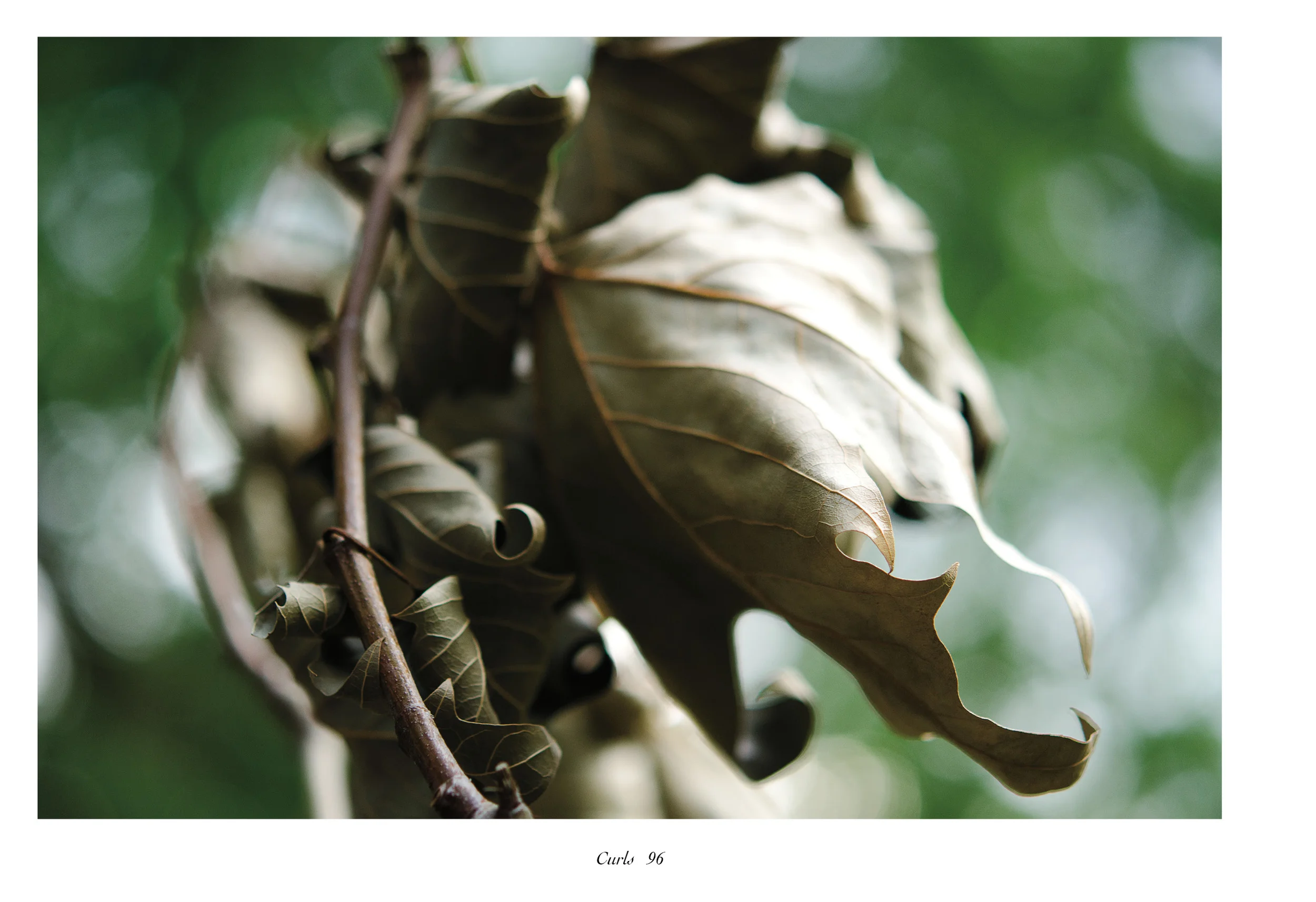 IntoSpring_July11_completewithcoversreduced100.jpg