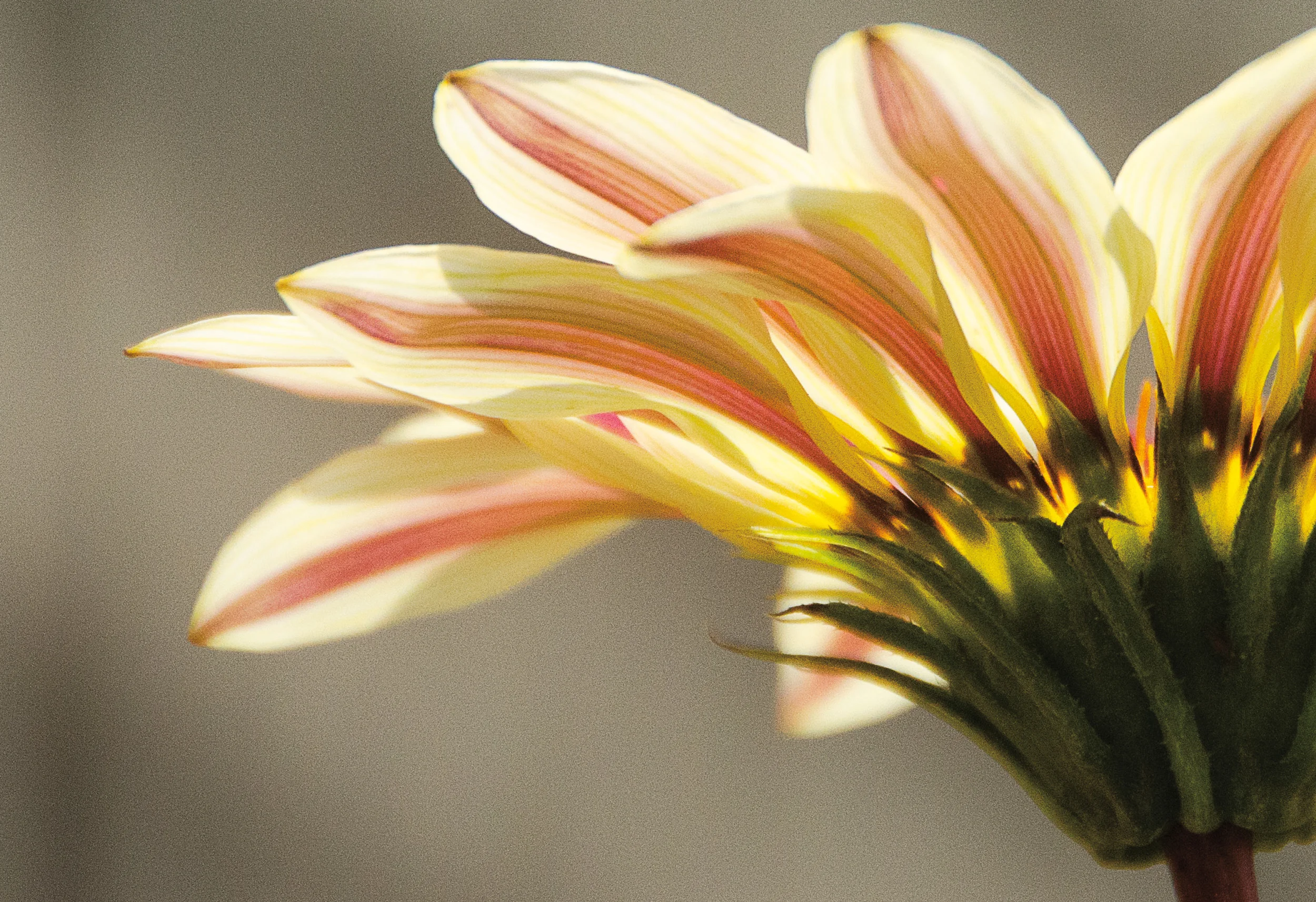 IntoSpring_July11_completewithcoversreduced181.jpg