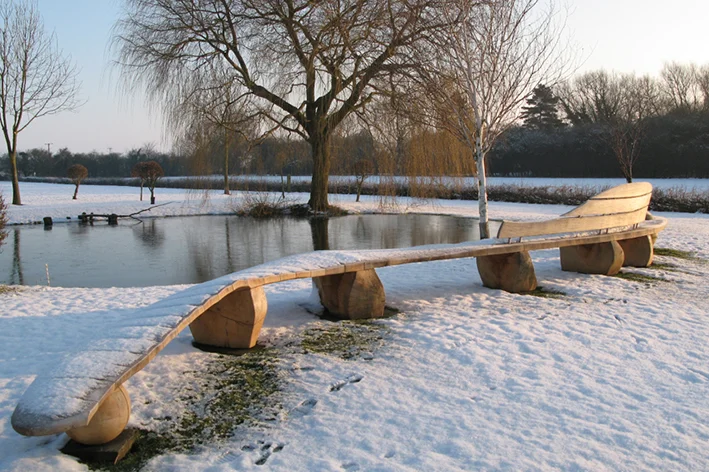 The Sleeping Dragon - quiet contemplation and rest in winter