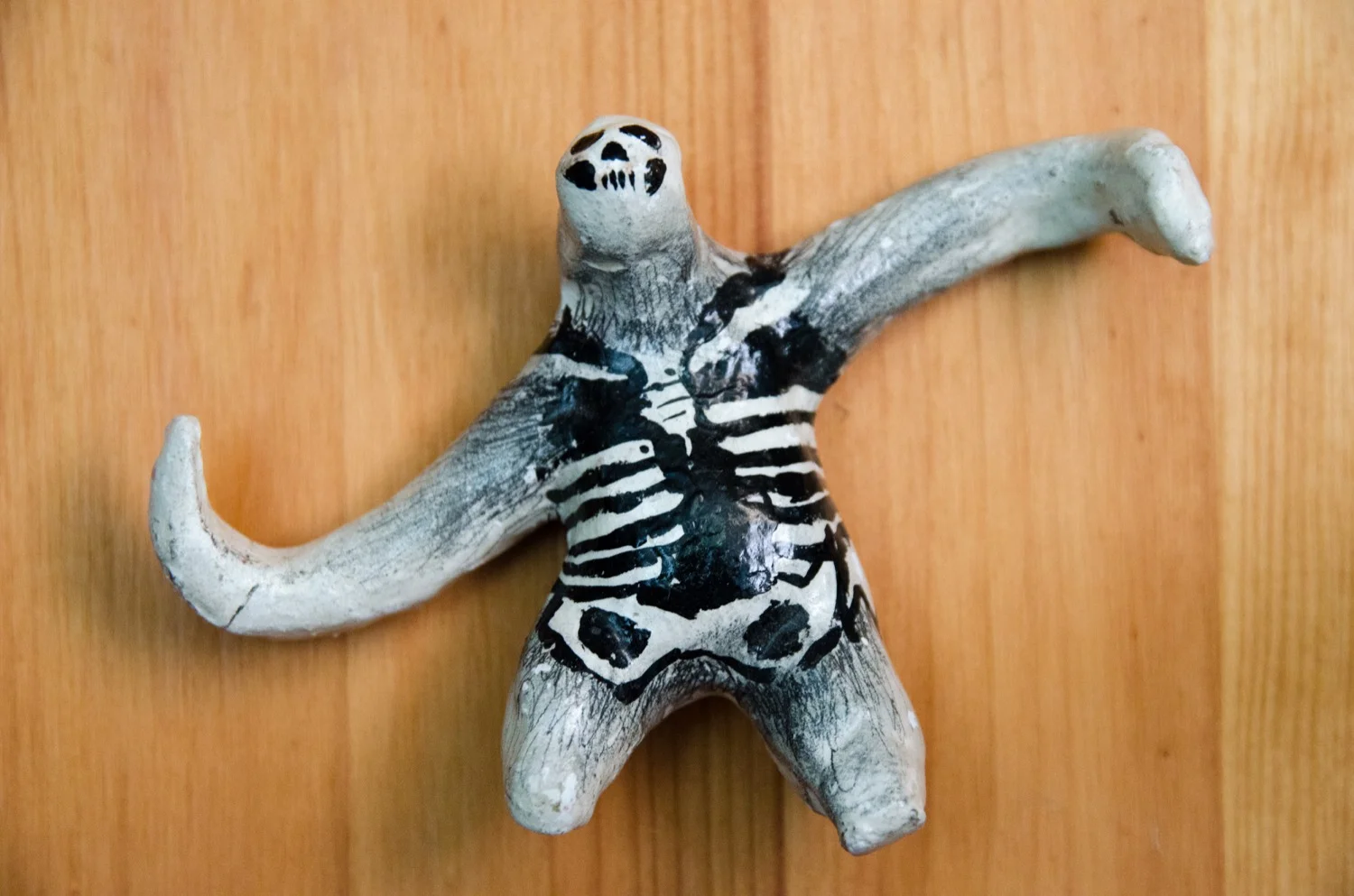 sloth (51 of 132).jpg