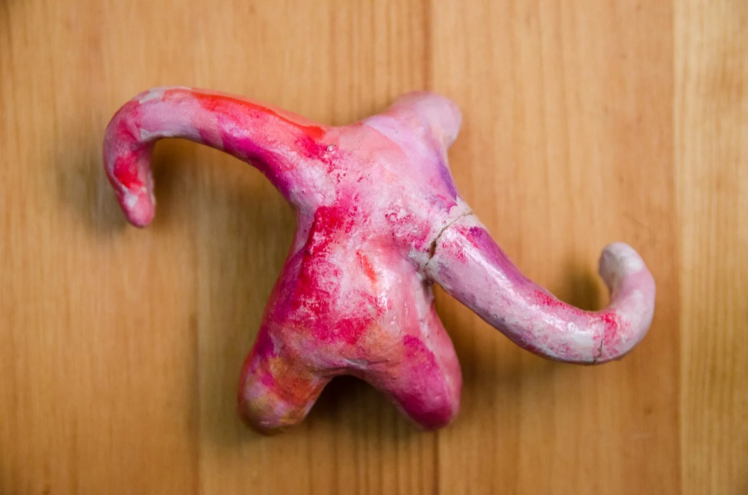 sloth (108 of 132).jpg