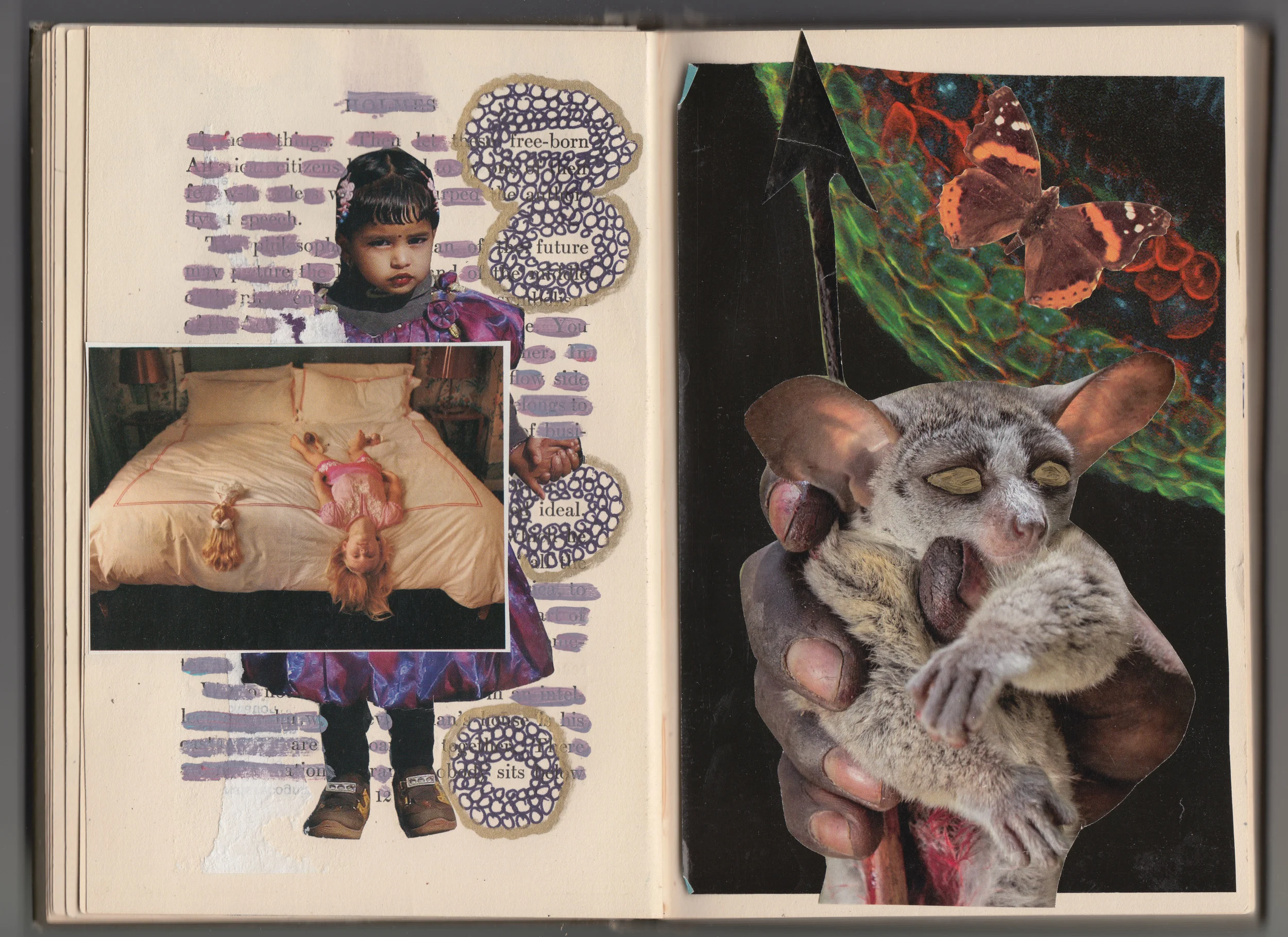 Homes collages 14.jpg