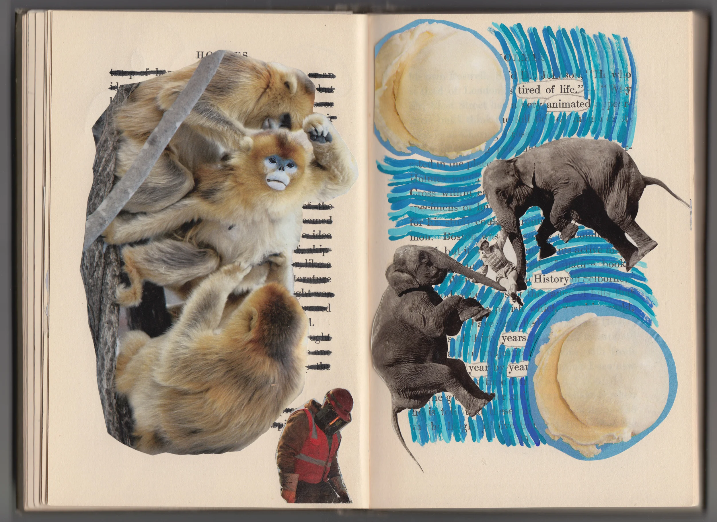Homes collages 17.jpg
