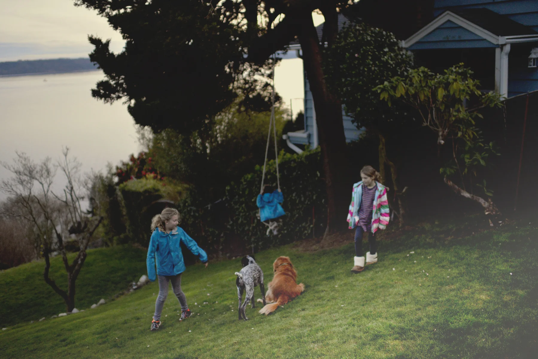 We stopped by to say "hi" to my daughter's friends and swing on the swing and play with the dogs.