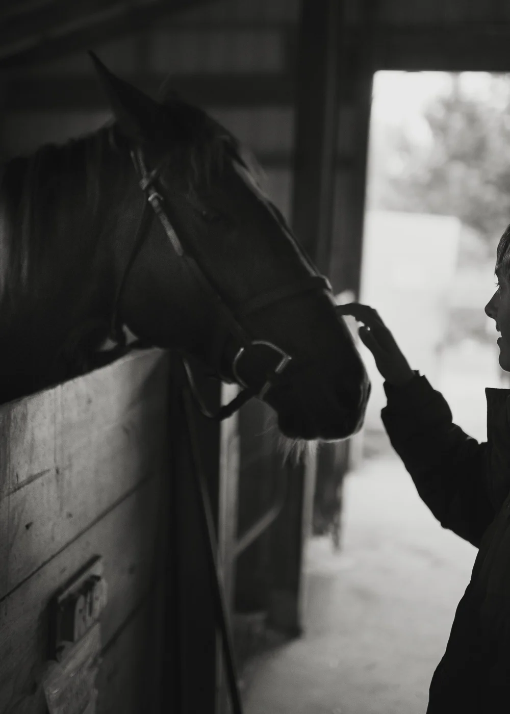 Karsten made friends with one of the horses. He wanted me to meet this guy.