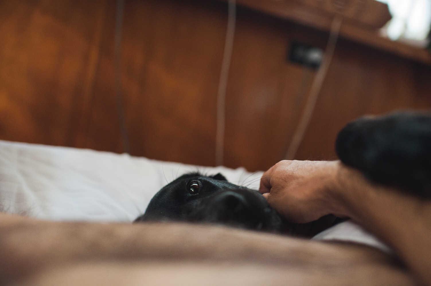 Blue waking up.