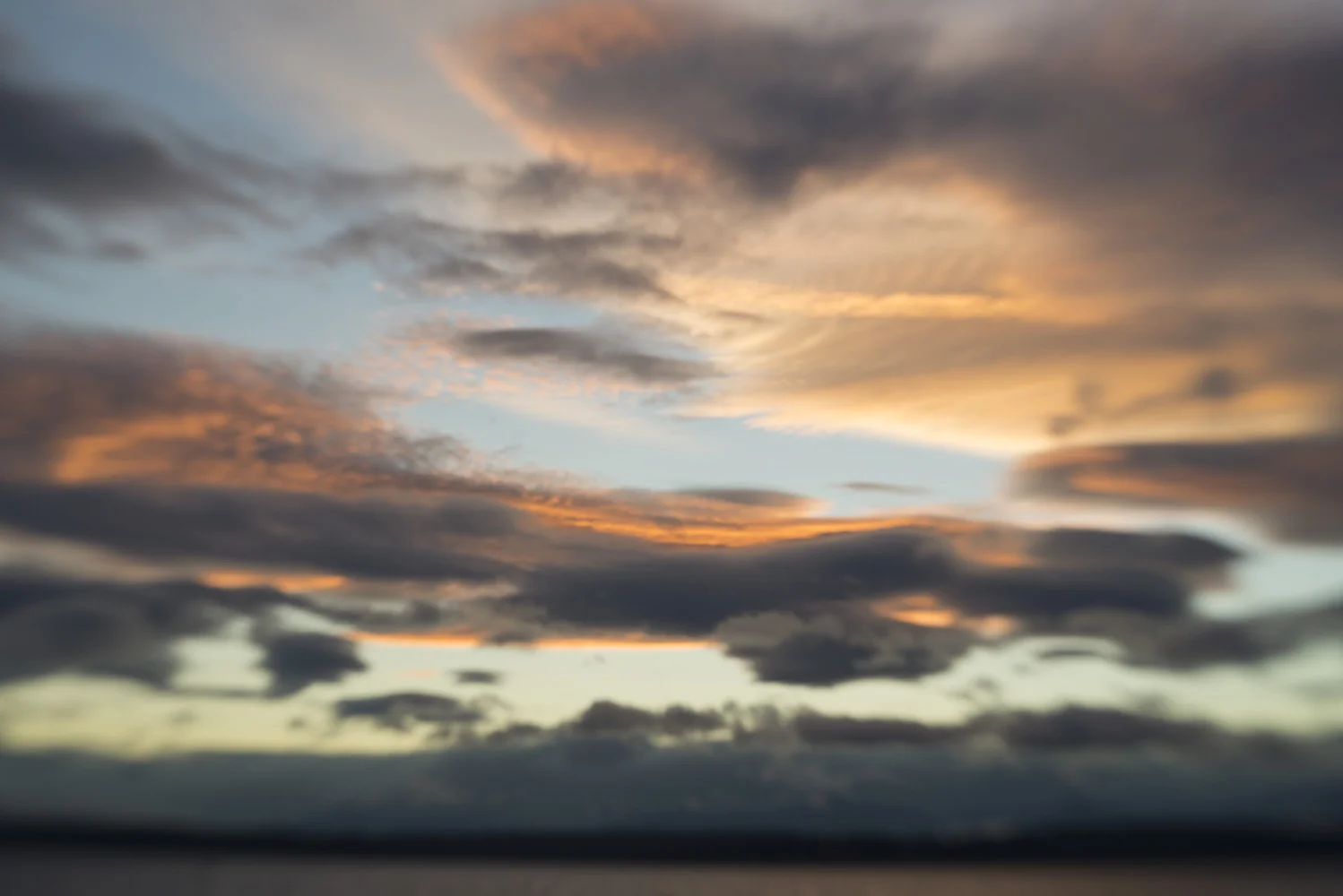 sunsetseattlemagnolia.jpg