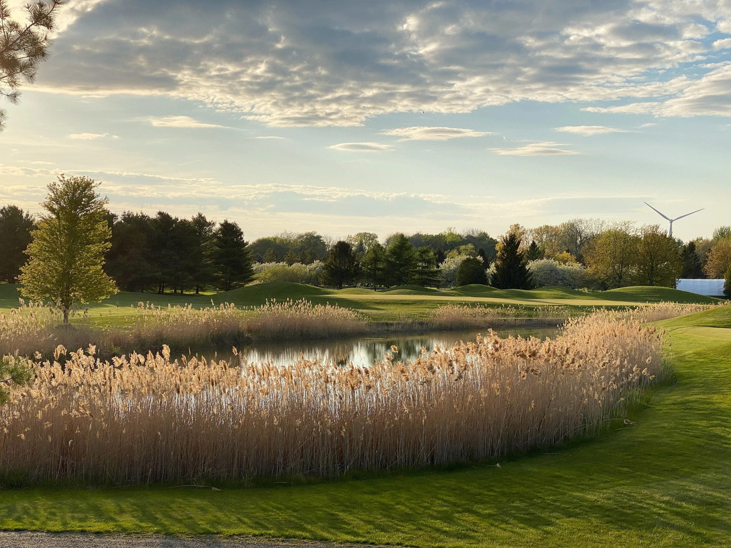 BA5F279A-70DE-471C-82F0-A5E1039395A1 (1).JPG