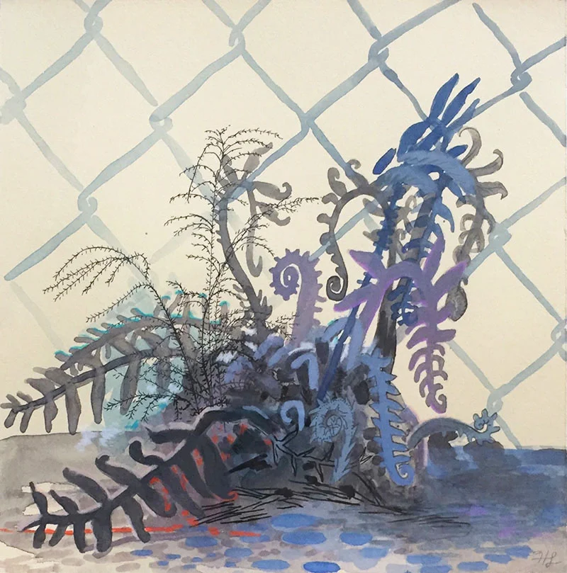 Backyard Fern