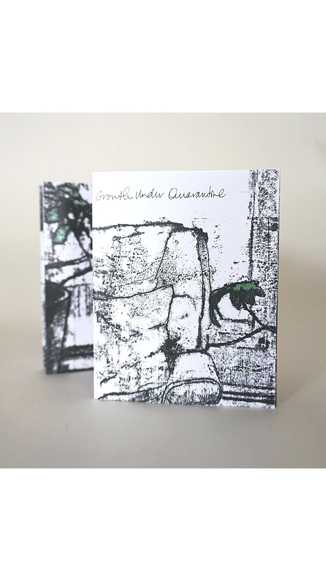 Growth Under Quarantine