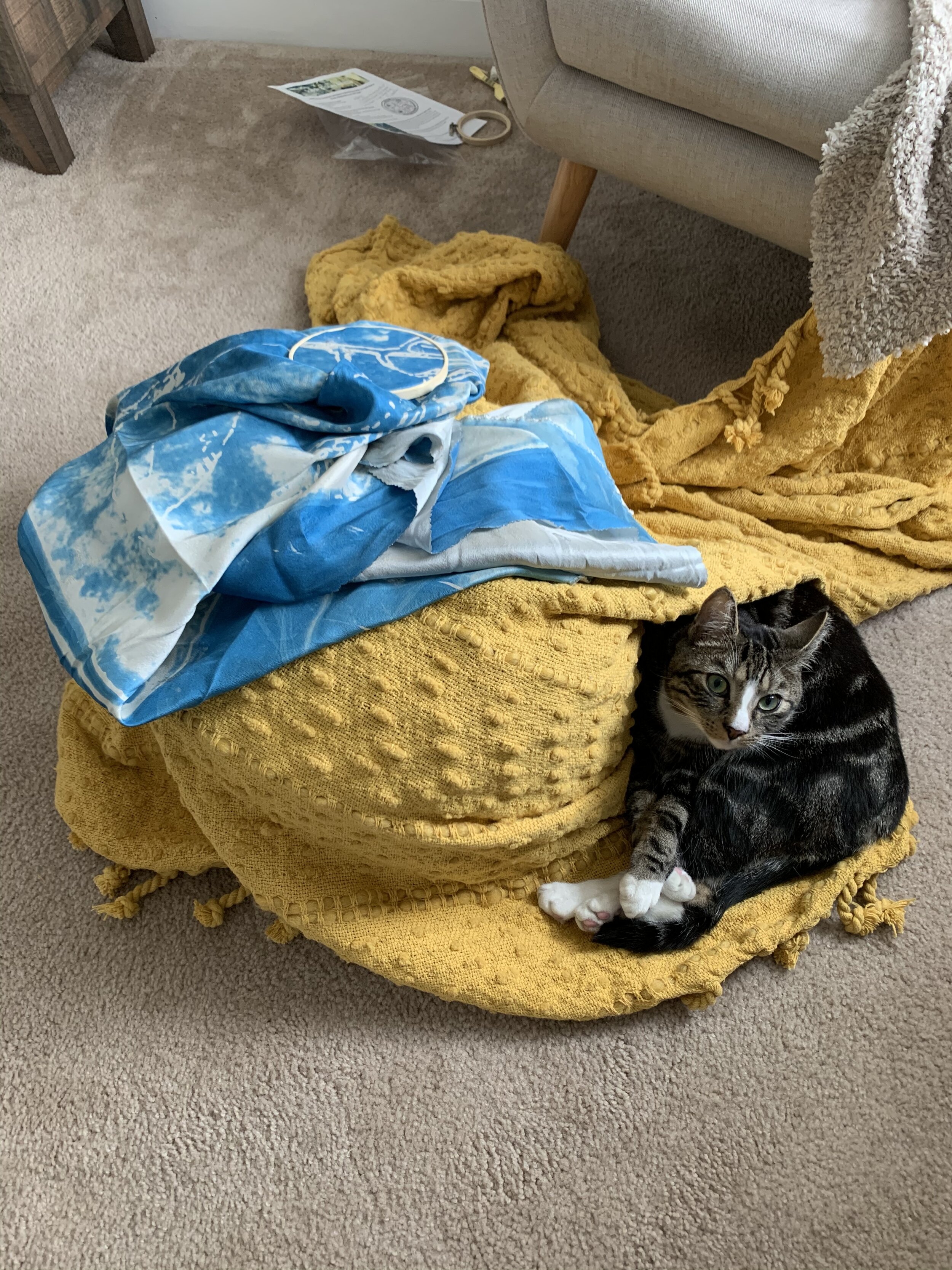  Philadelphia, PA | April 2021 