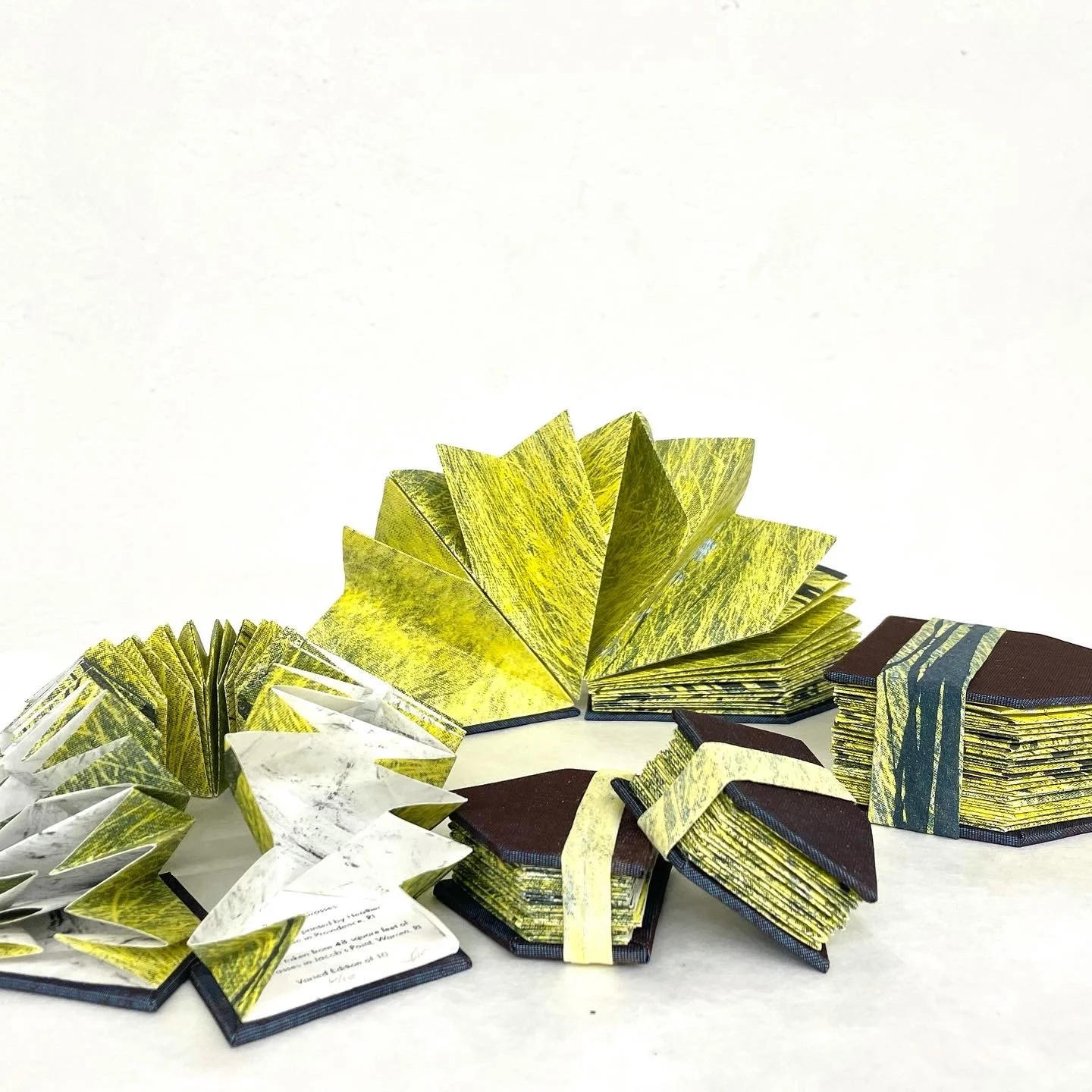   Reading Grasses   Screen print and rubbings on Tyvek in a chain of Turkish Map Folds. 2” x 2” x 2” and 4” x 4” x 2”. Varied edition of 10.  The complete set contains 48 square feet of rubbings of marsh grasses from Jacob’s Point, a salt marsh in Wa