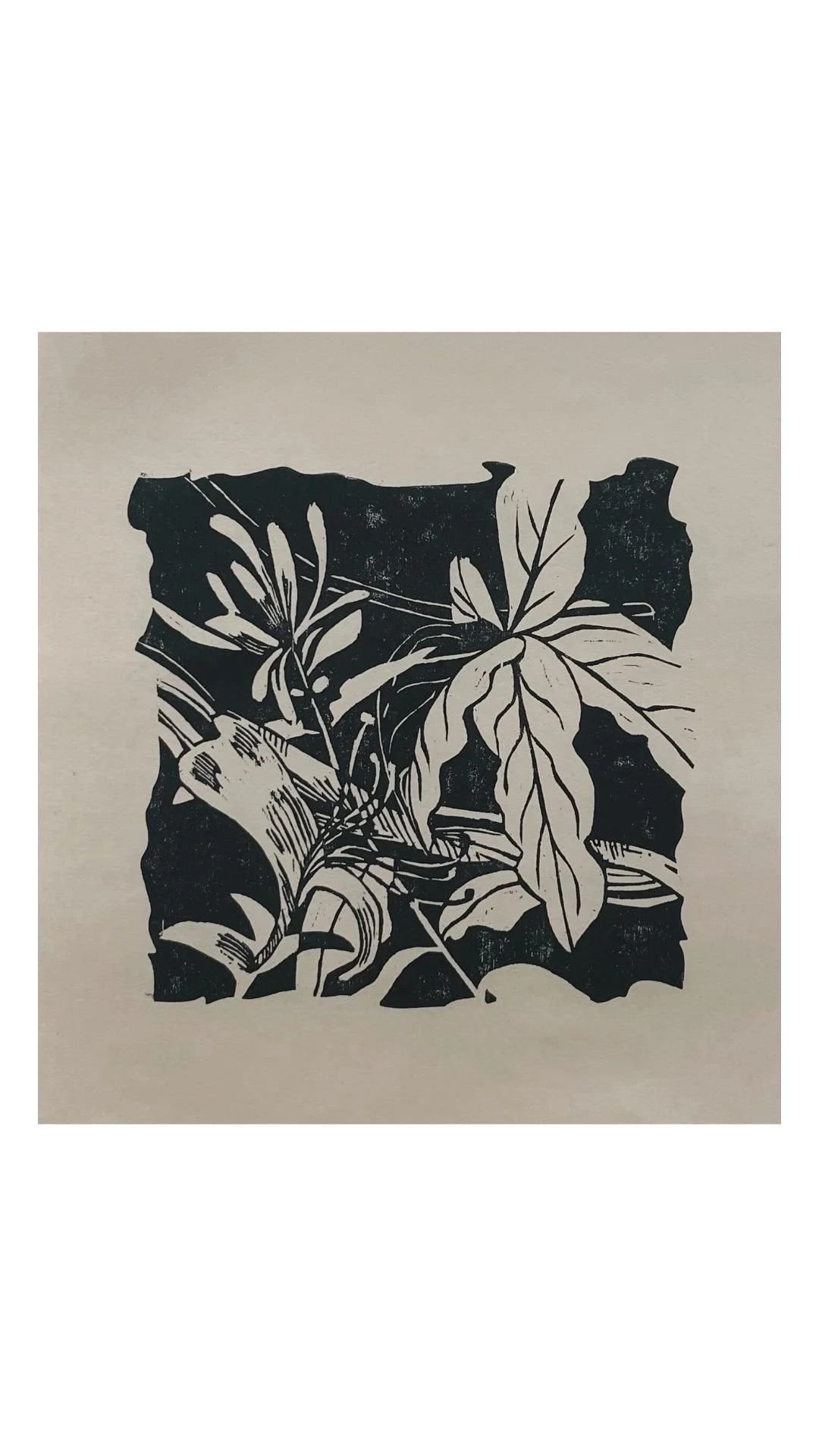 NoVA Flora: Japanese Honeysuckle