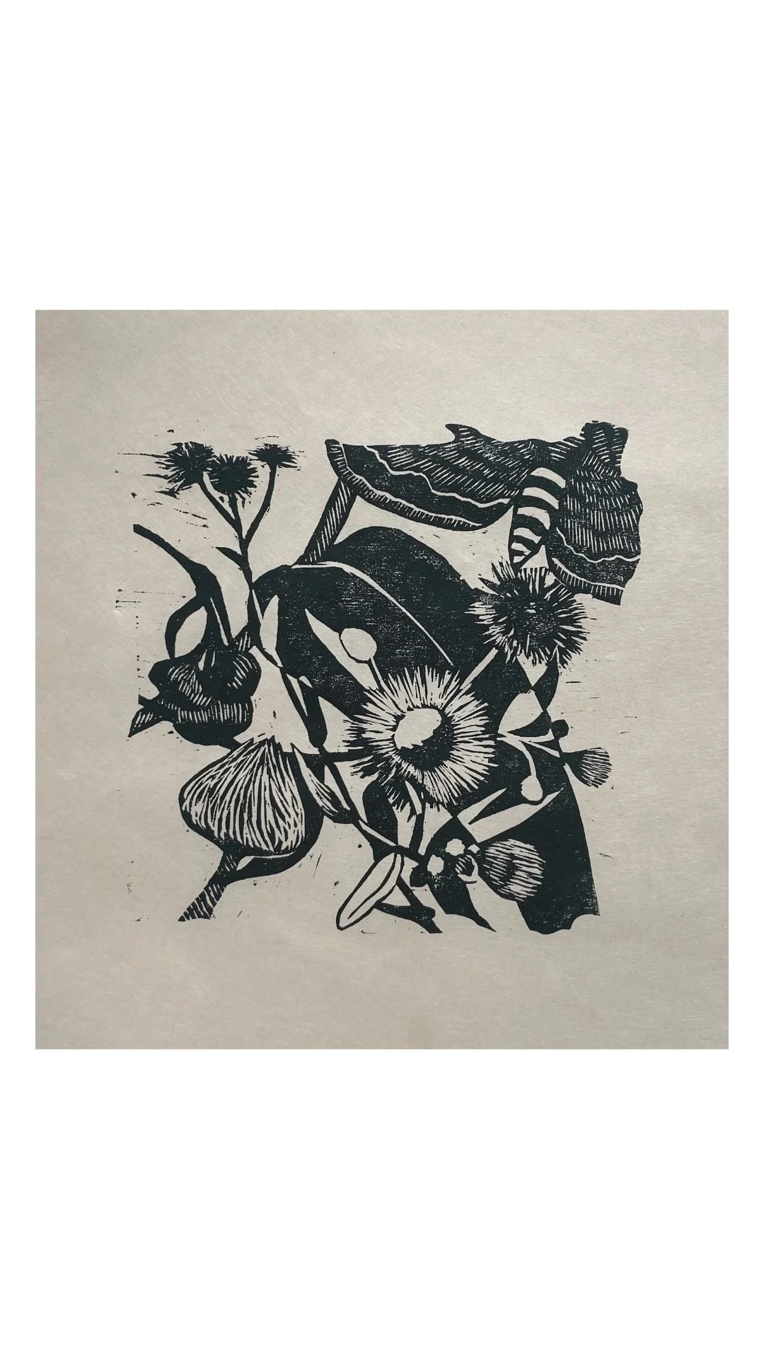 NoVA Flora: Common Fleabane