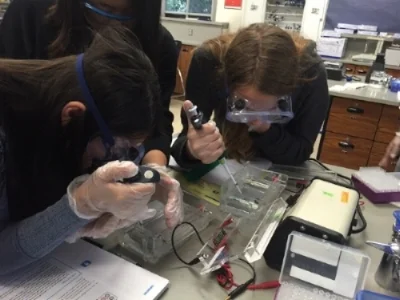DNA+lab+loading+gels.jpeg