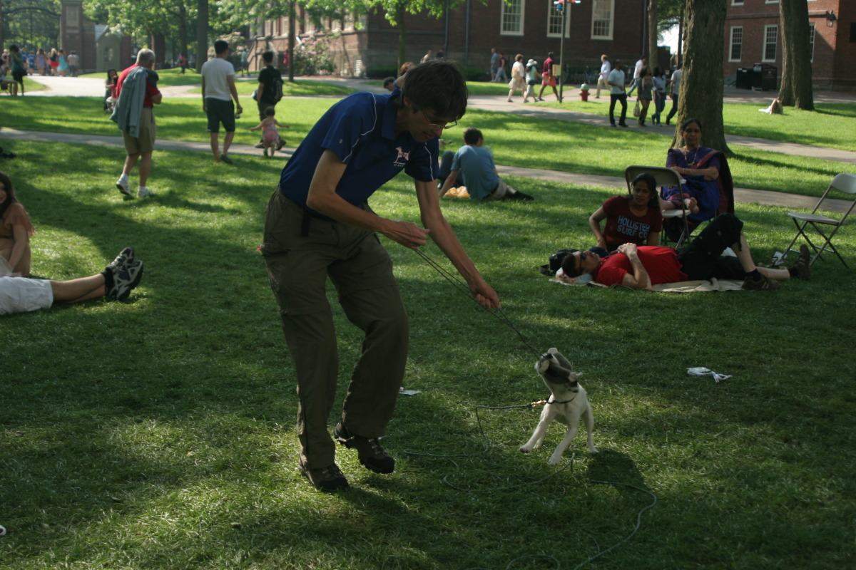 Successful search in Harvard Yard