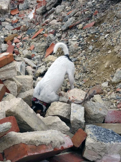 rubble 6 at source more.jpg