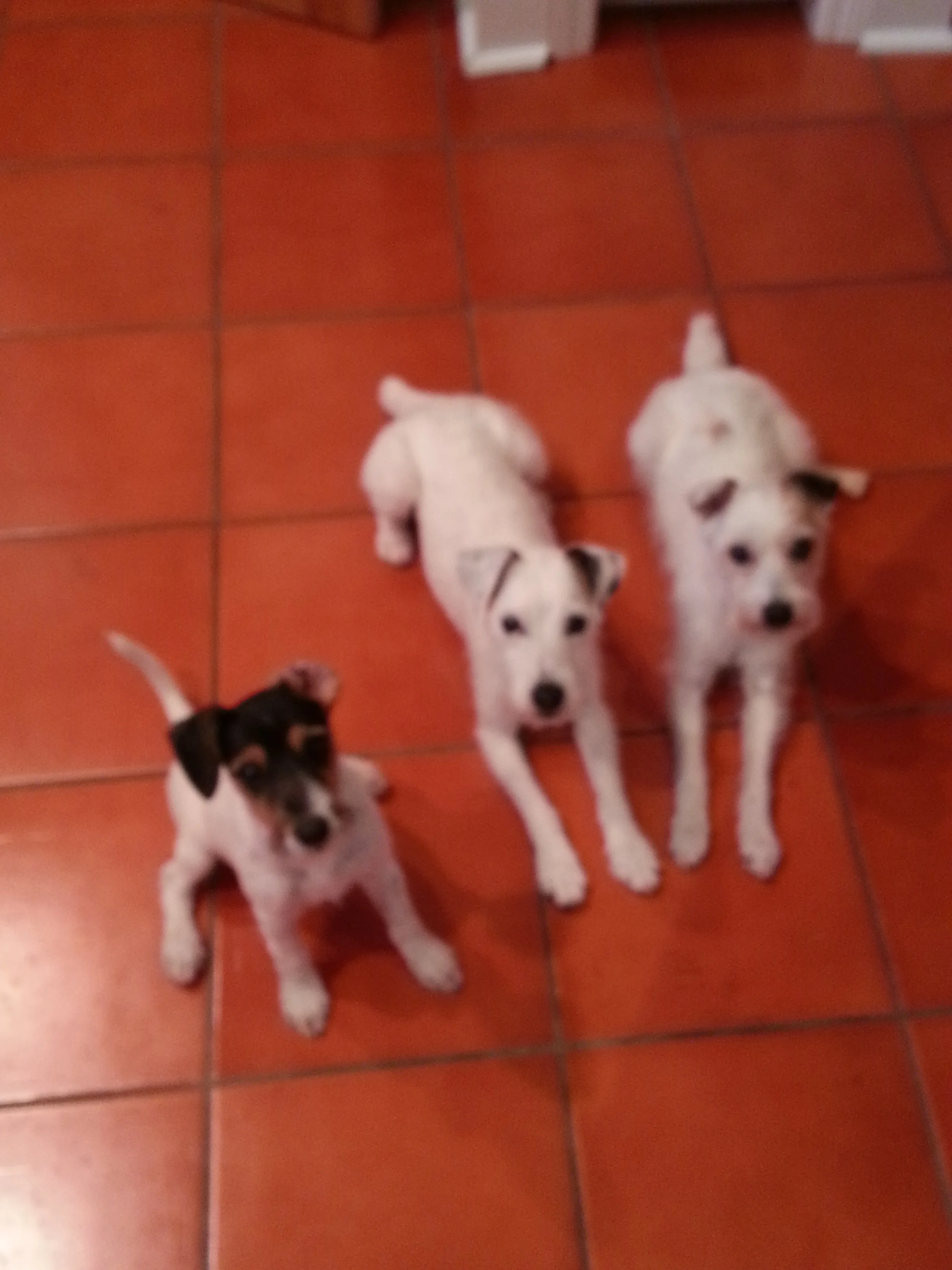 2013-06-03 20.53.36.jpg
