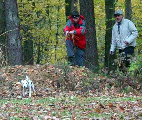 scout-pulls-JJH-up-hill-web.jpg