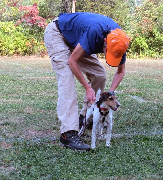 copy 2 JJH HARNESSING POCKET AFTER DRIVE EXERCISE.jpg