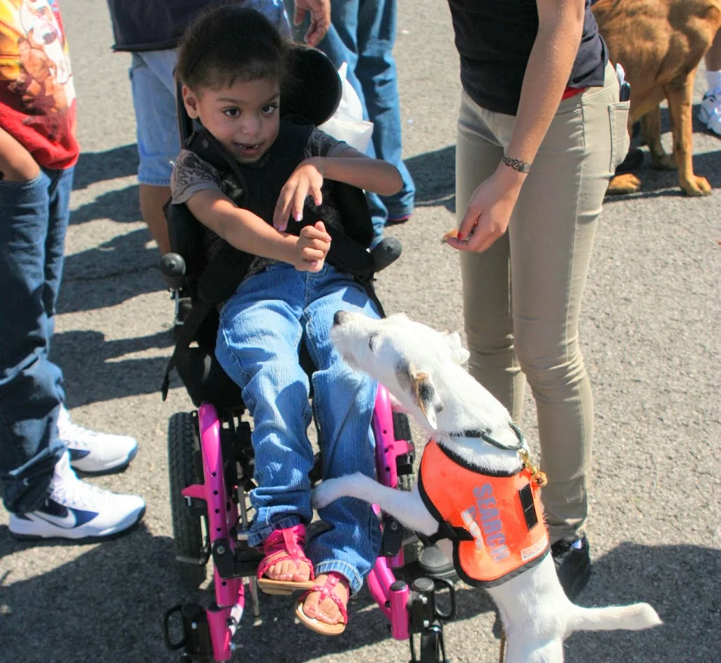 scout with kid in wheelchair.jpg